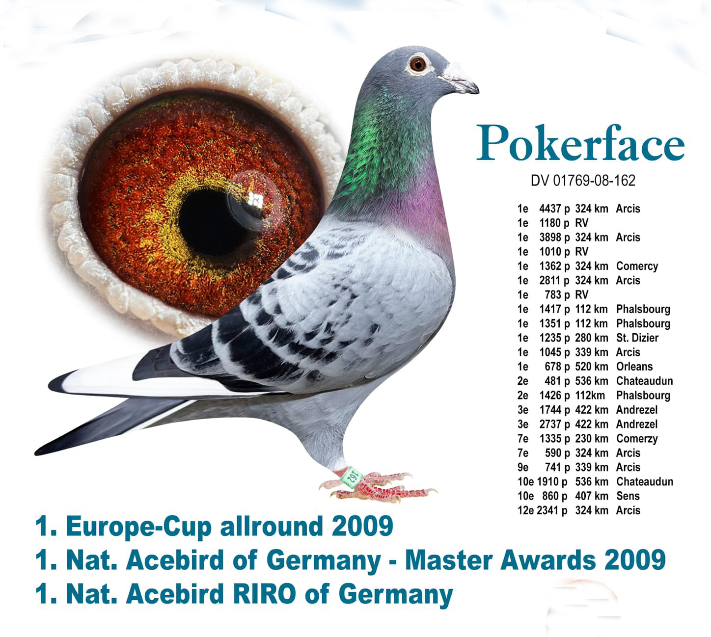 DV06254-22-490 DİŞİ / BABASININ DEDESI PITBULL ANNESININ DEDESI POKERFACE - BEST KITTEL !!!