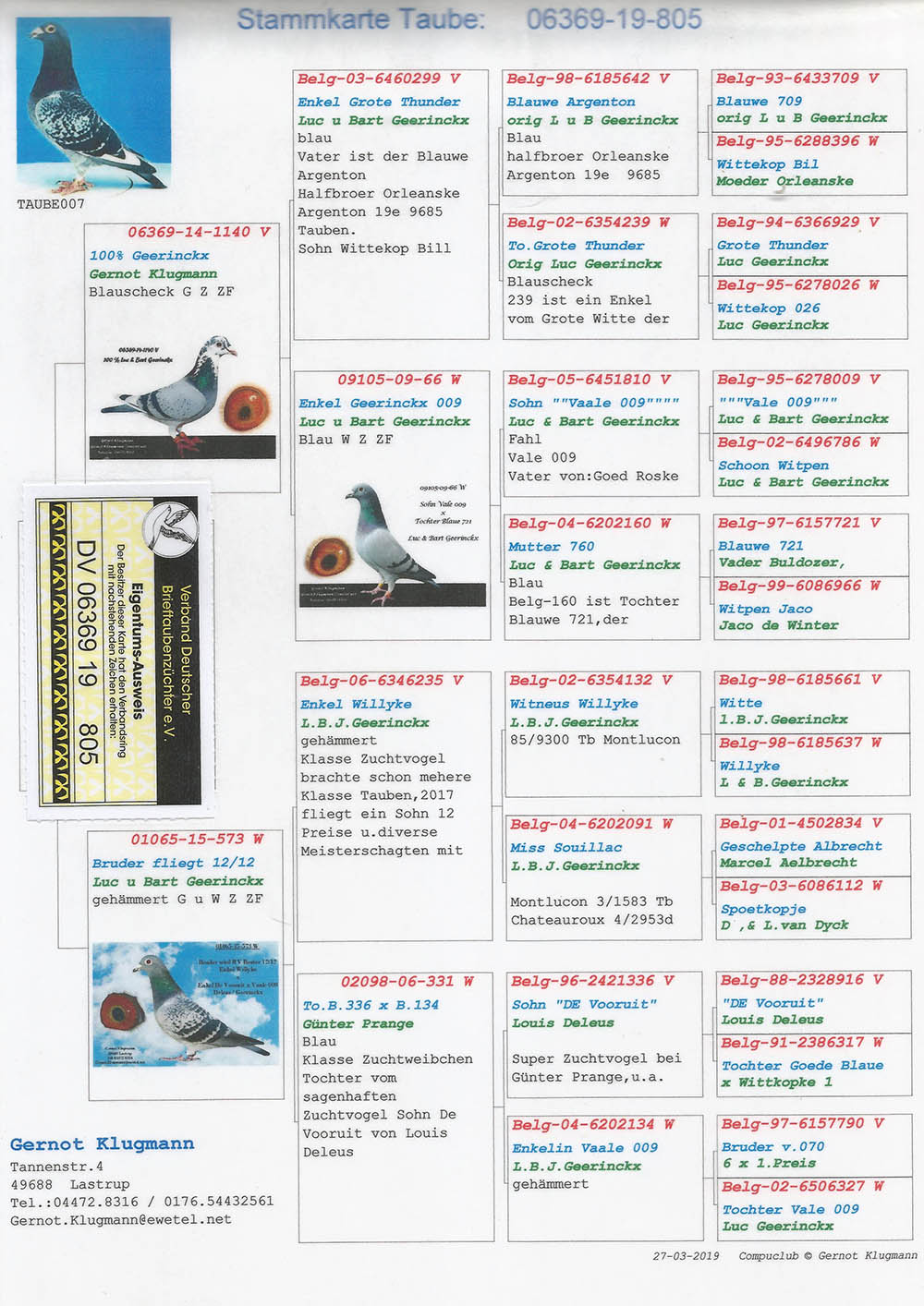 DV06369-19-805 ERKEK ./ GEERINCKX % 100