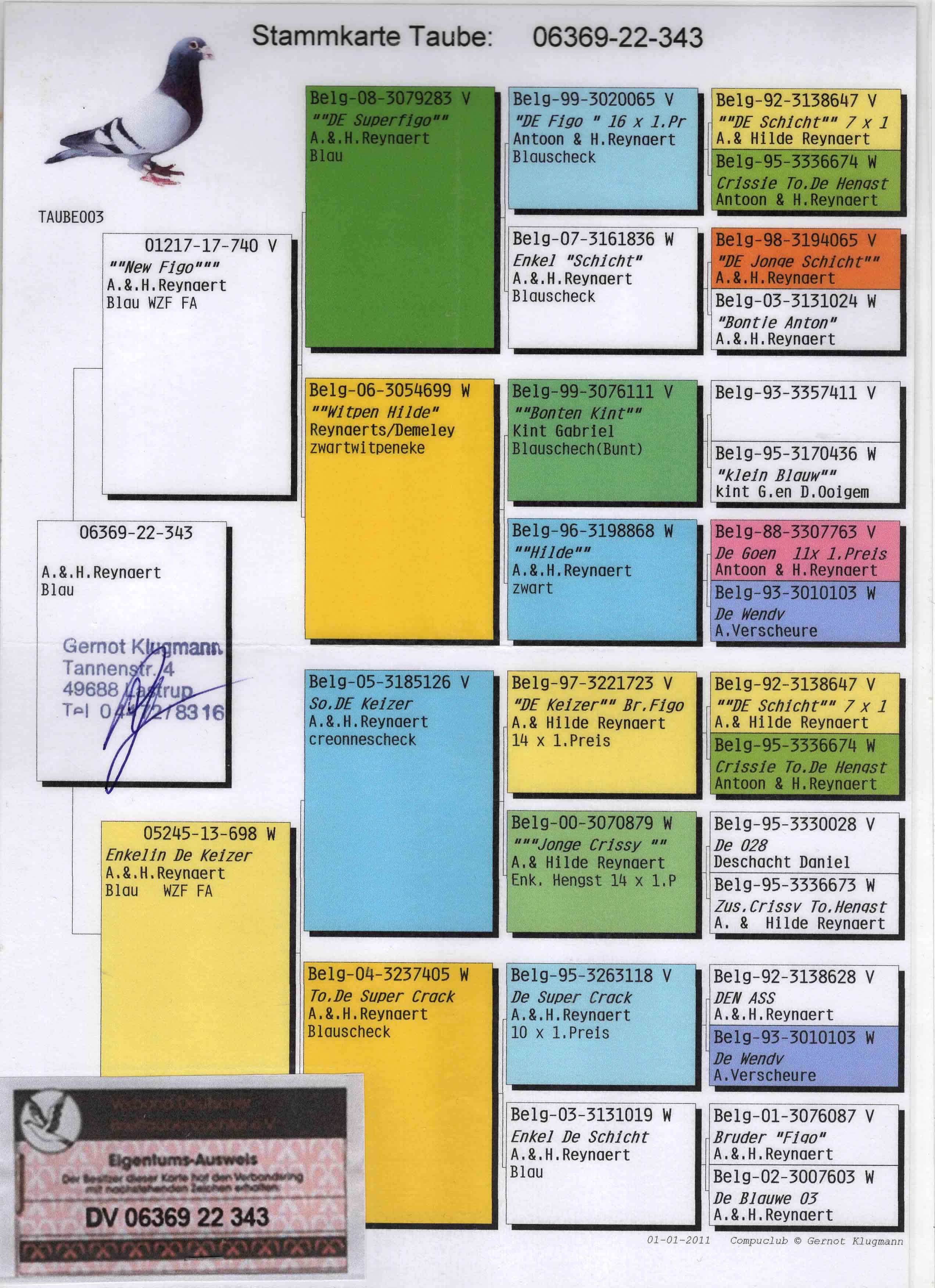 DV06369-22-343 ERKEK / A. & H. REYNAERT % 100 ( FIGO )