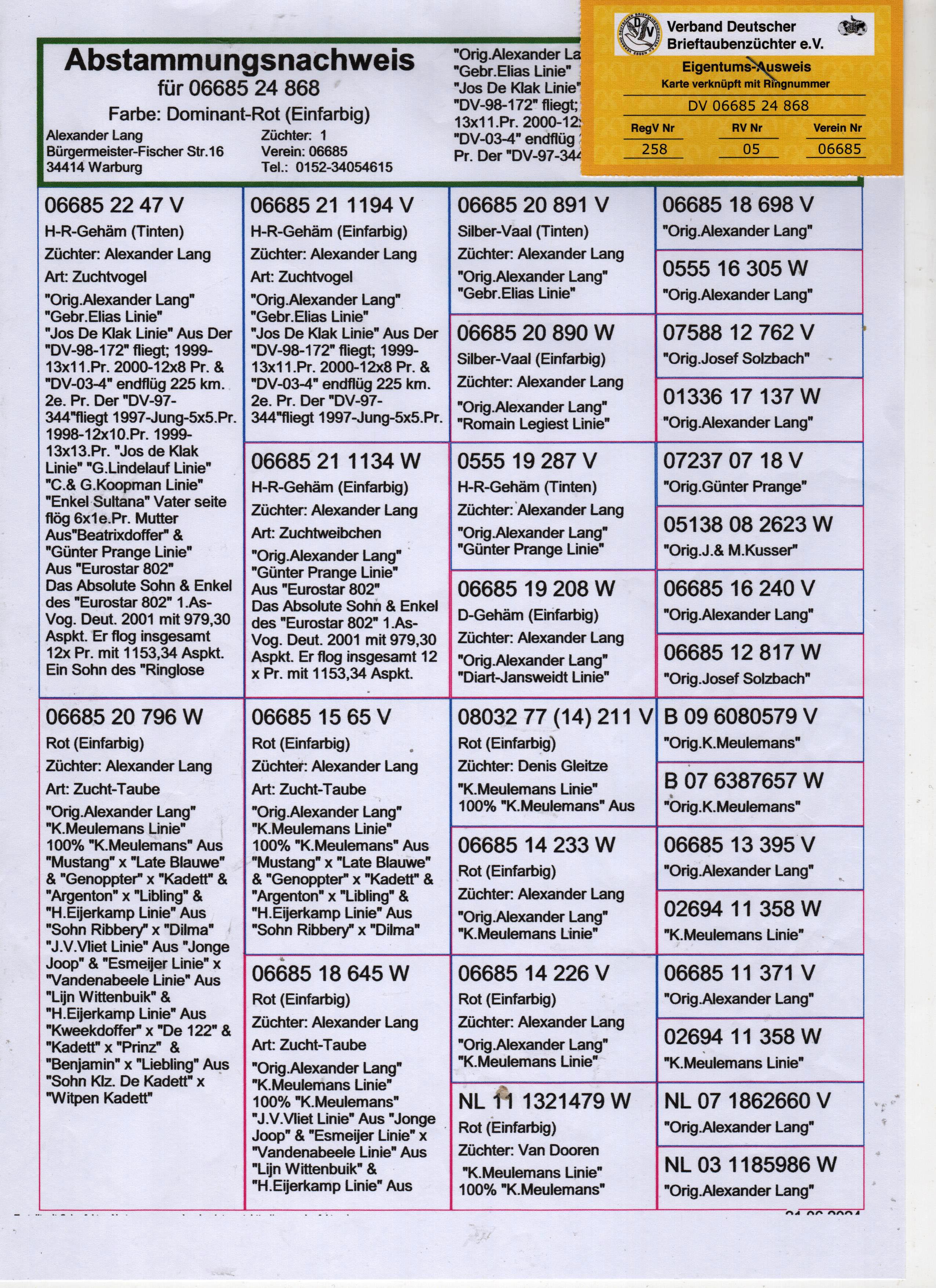 DV06685-24-868  DİŞİ / PRANGE - MEULEMANS 