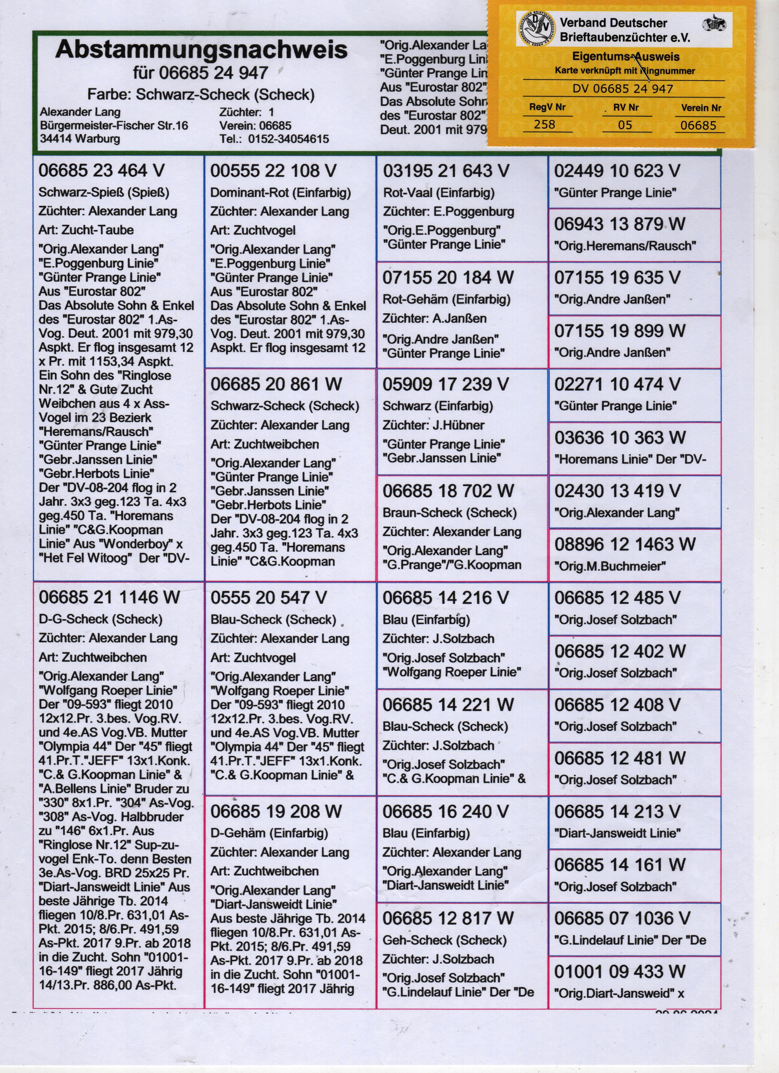 DV06685-24-947 DİŞİ / JANSSEN - KOOPMAN - PRANGE