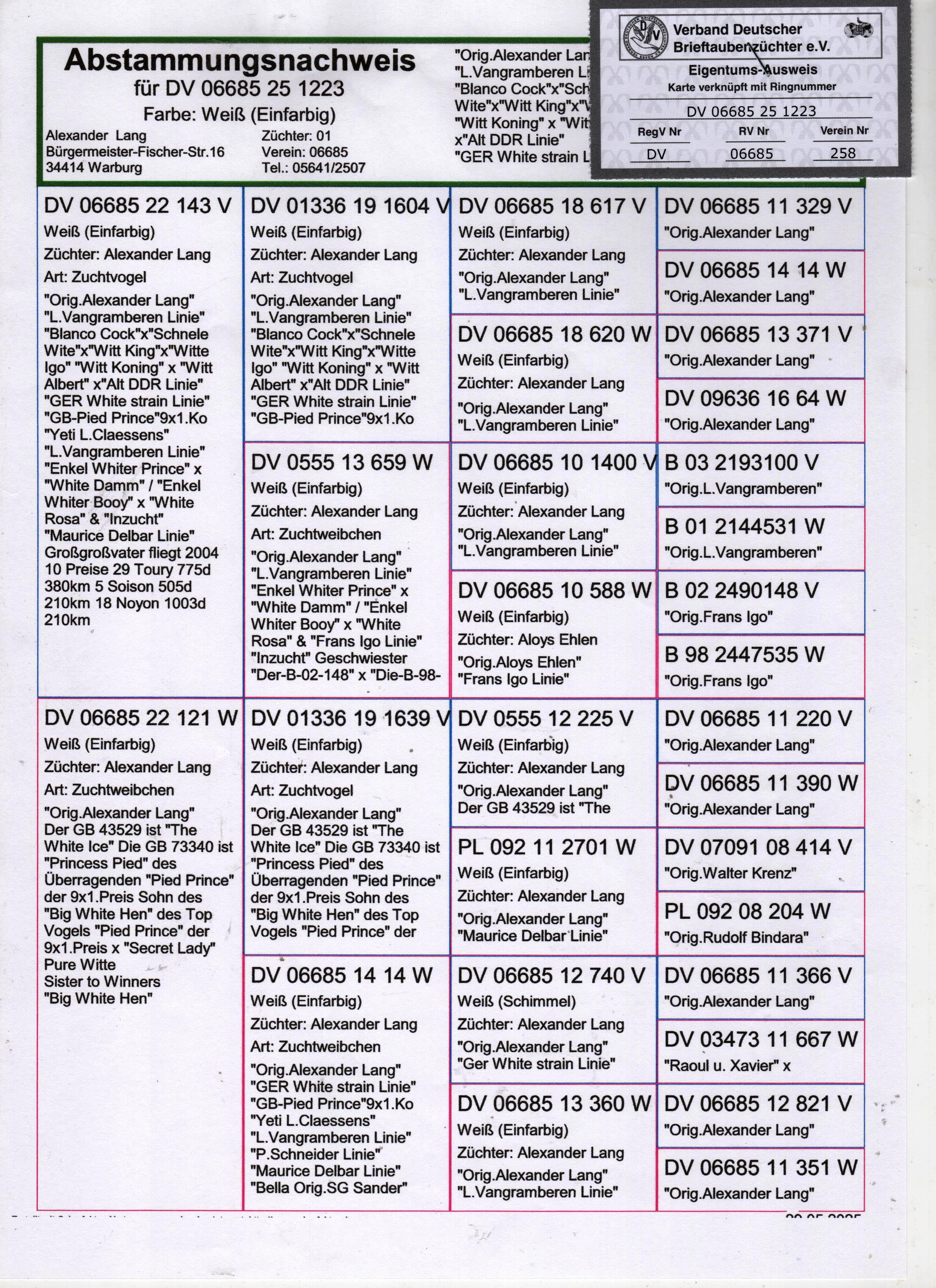 DV06685-25-1223 DİŞİ / VANGRAMBEREN  - DELBAR