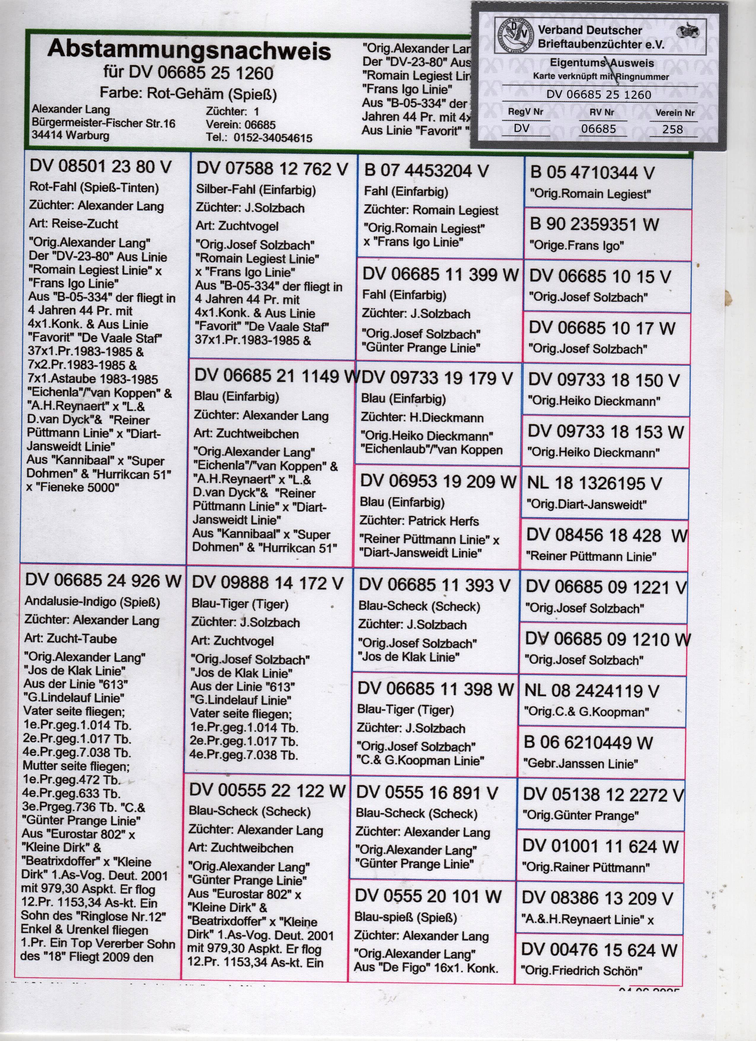 DV06685-25-1260 DİŞİ / PRANGE  - IGO FRANS - KOOPMAN