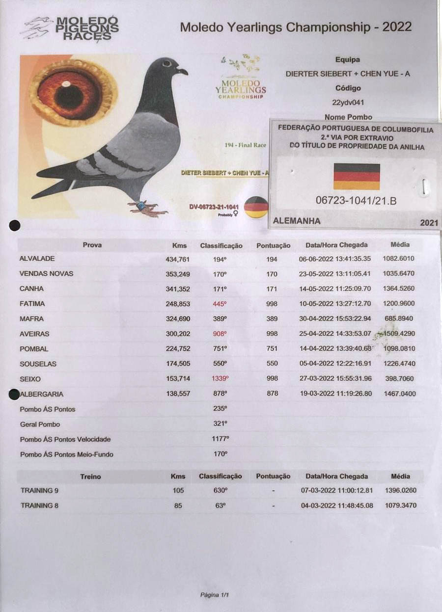 DV06723-21-1041 DİŞİ / KENDİSİ 194. FİNAL MOLEDO - KEES BOSUA - LUDO CLAESSENS