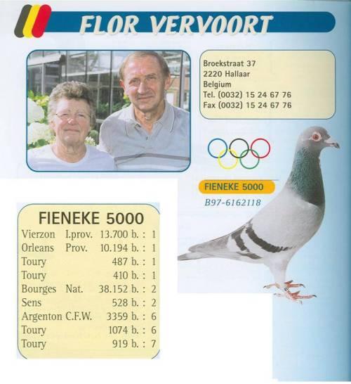 DV071-19-793 ERKEK  /  FLOR VERVOORT % 100 INBREED FIENEKE 5000