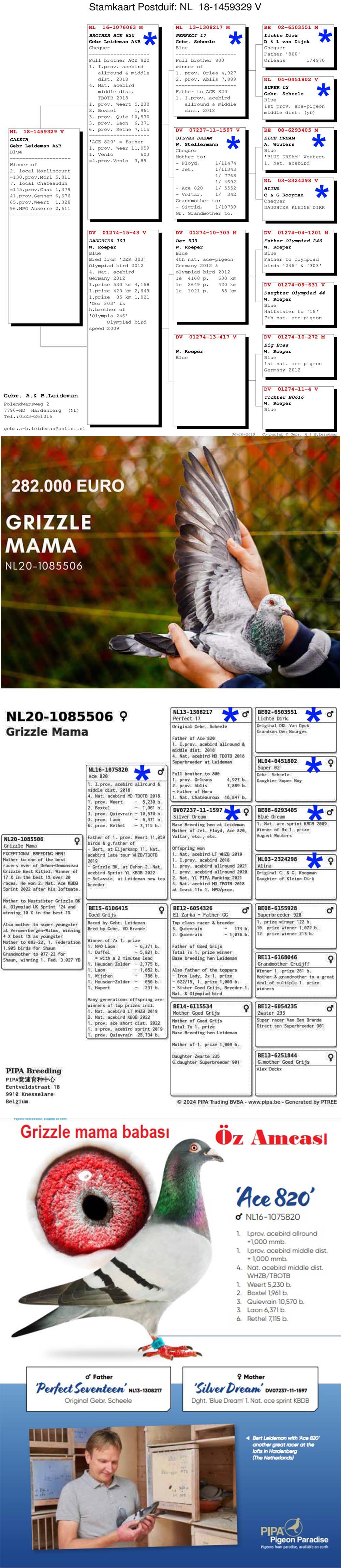 DV07107-23-782 DİŞİ /  GEBR. LEIDEMAN  %  100