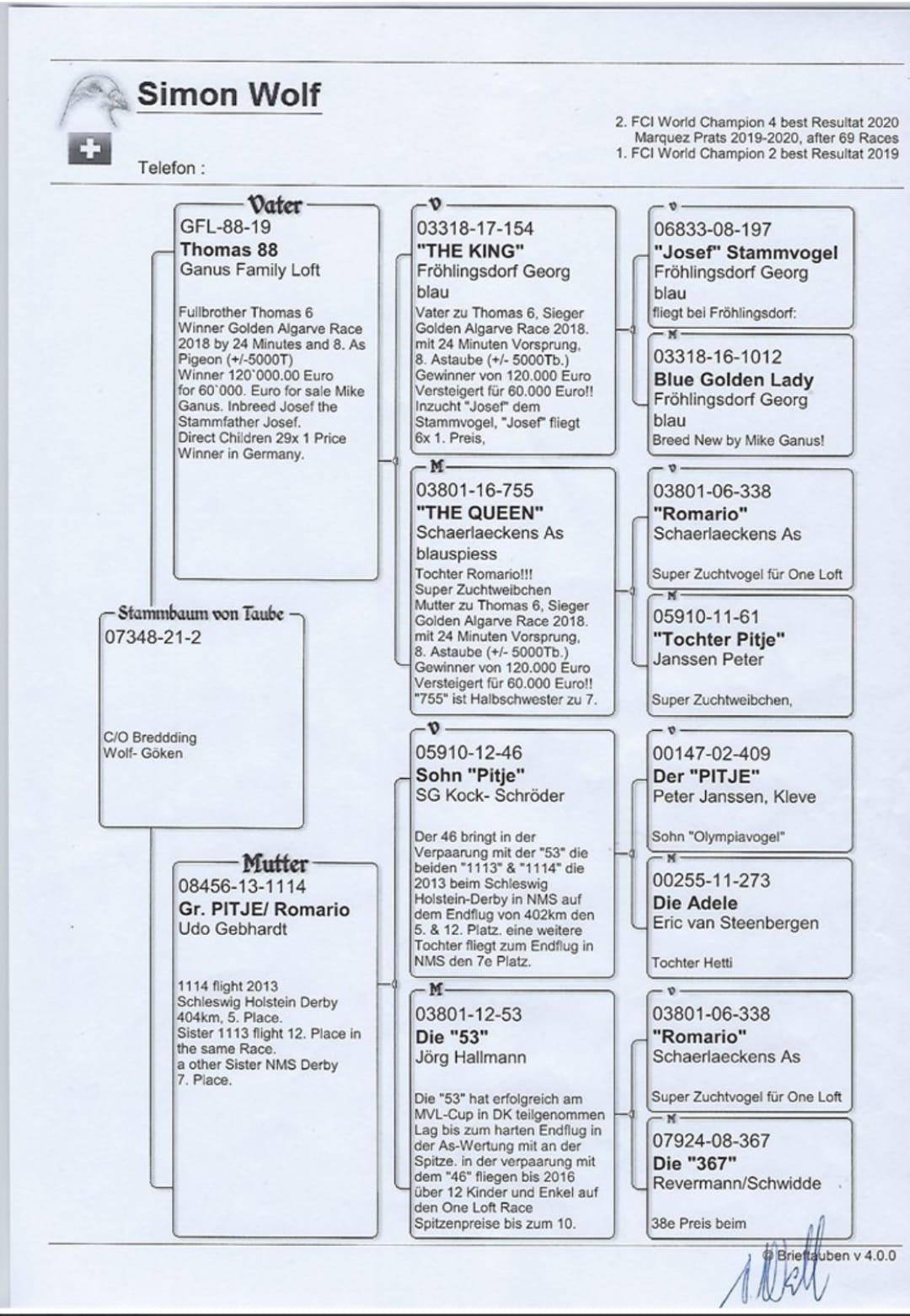 DV07348-21-2 DİŞİ / SİMON WOLF - BABASININ KARDŞEİ THOMAS 6 ANNESİ ROMARİO TORUNU