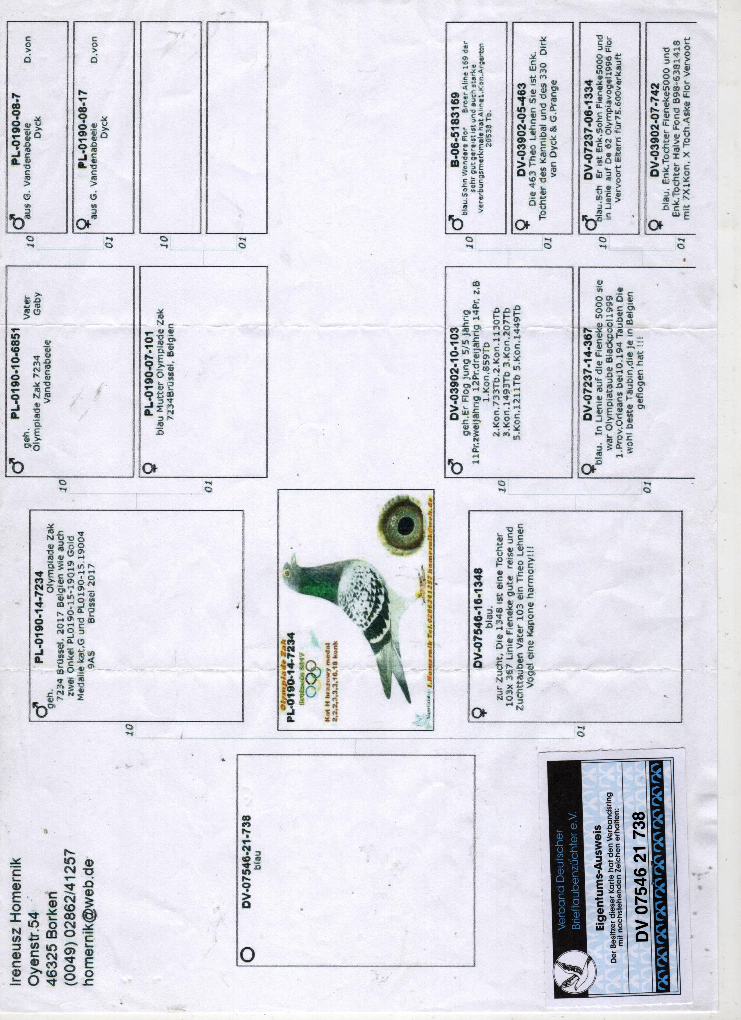 DV07546-21-738 ERKEK / BABASI OLYMPİADE ZEK