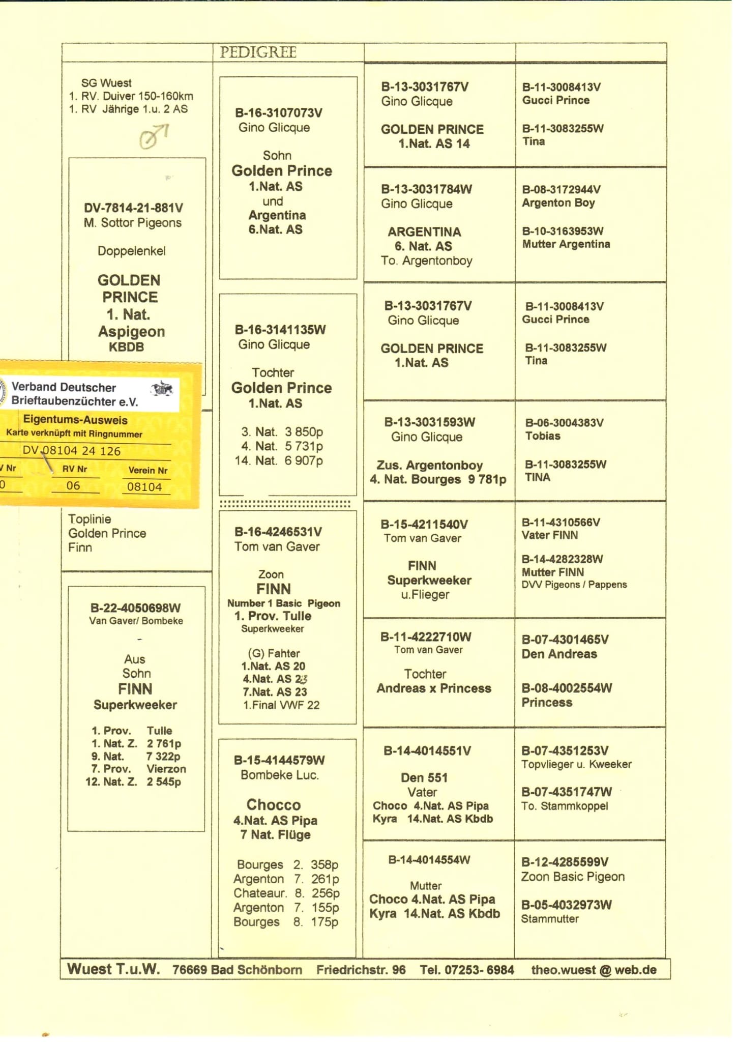 DV08104-24-126 ERKEK / ANNESİ FINN TORUNU