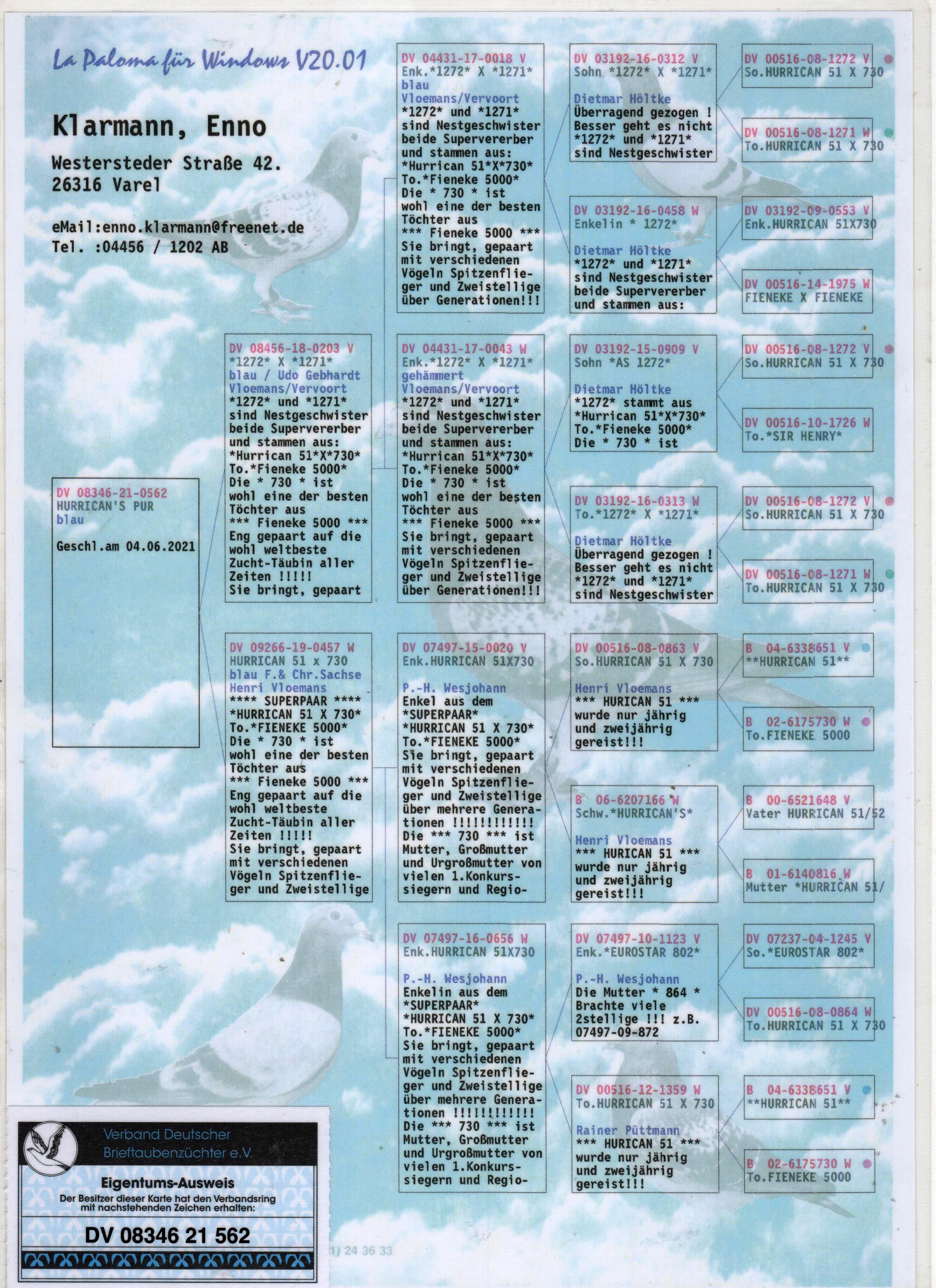 DV08346-21-562 DİŞİ / INBREED HURRICAN 51 -  1272