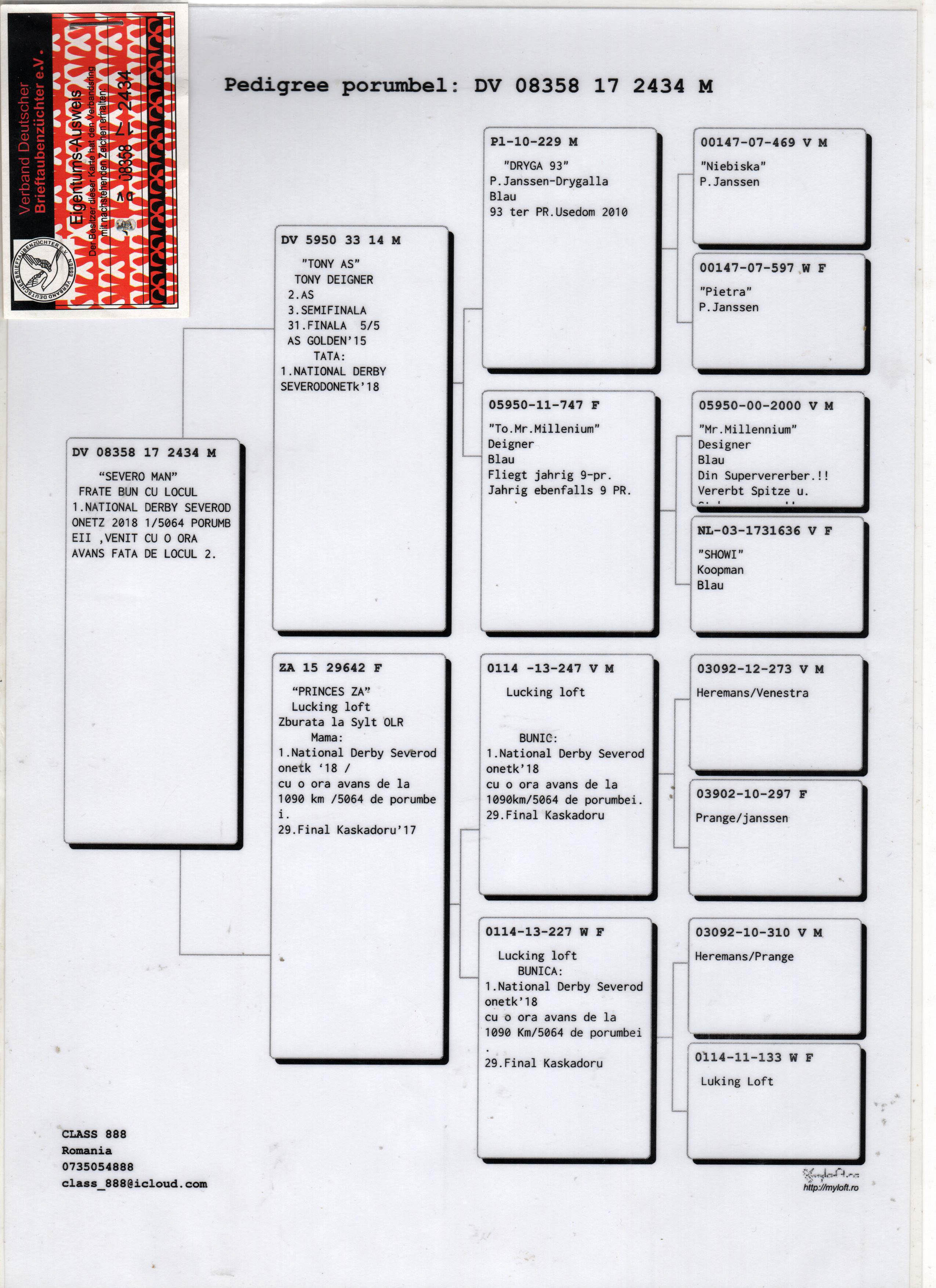 DV08358-17-2434 ERKEK / KARDEŞİ 1 NAT DERBY SEVEROD 1090 KM