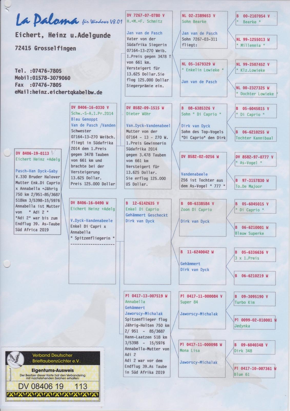 DV08406-19-113 ERKEK / BABASI HALOVER KARDEŞİ