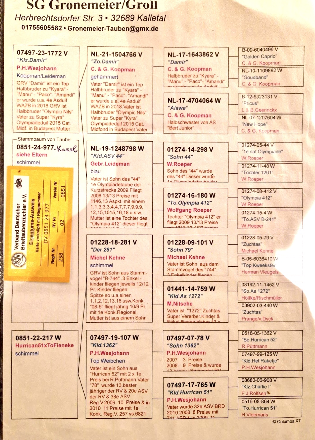 DV0851-24-977 ERKEK / BABASI KOOPMAN -LEIDEMANN 