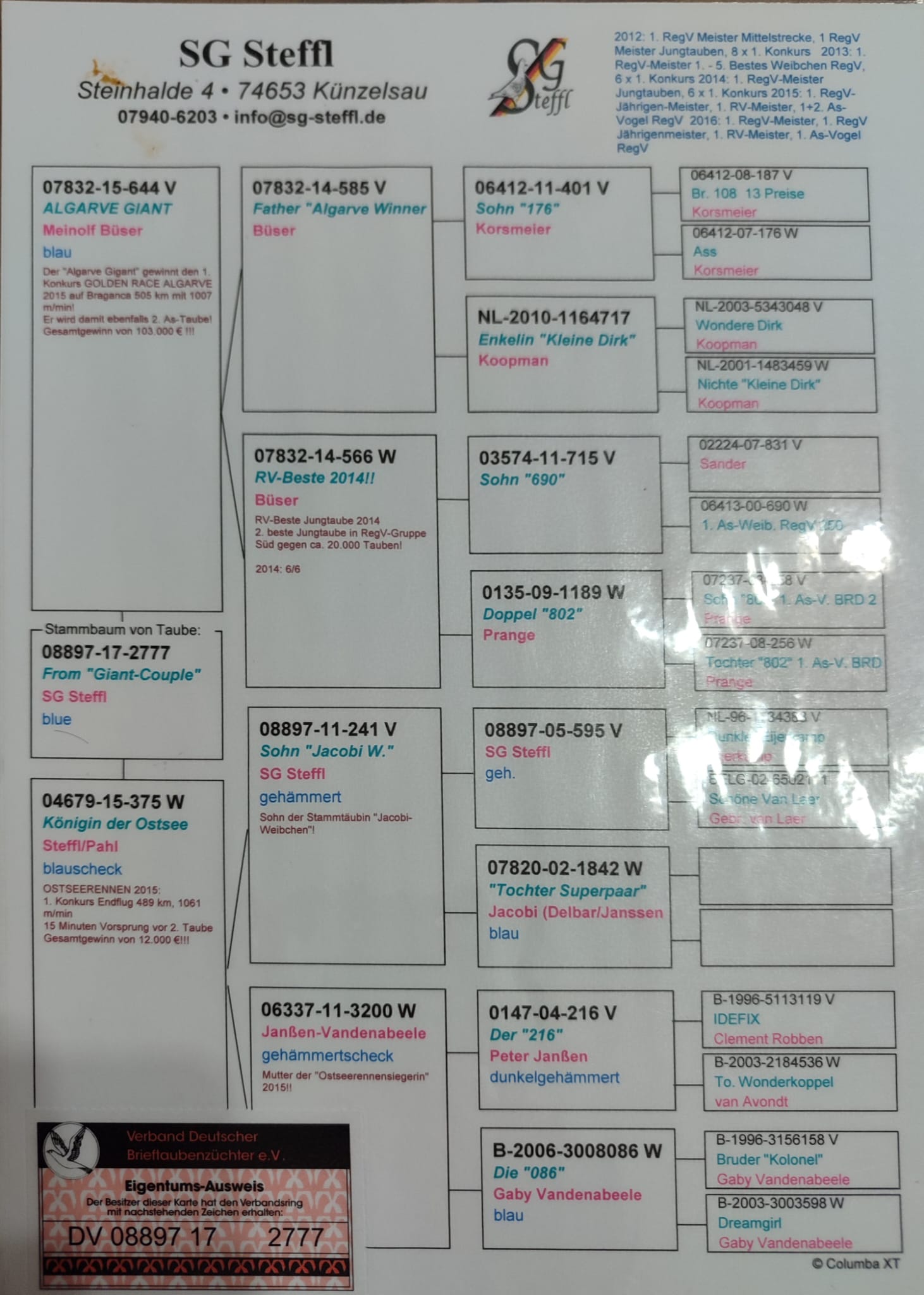 DV08897-17-2777 ERKEK / SON GIANT PAIR 