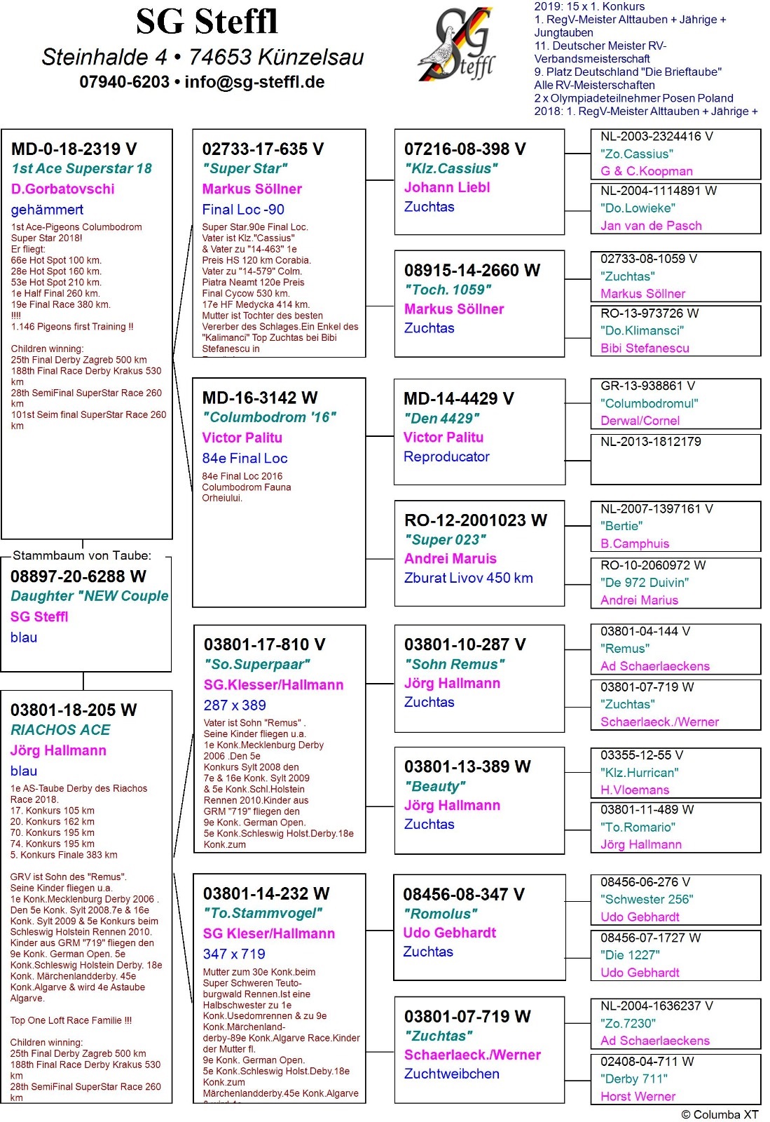 DV08897-20-6288 DİŞİ /  ANNESİ 1. ACE RİACHOS OLR BABASI 1. ACE SUPERSTAR OLR