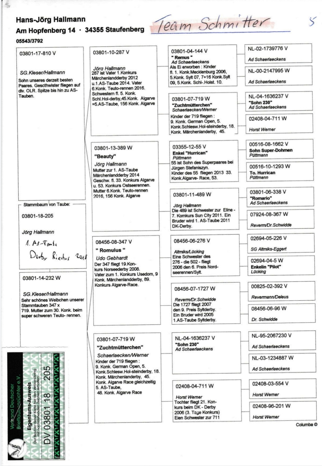 DV08897-20-6288 DİŞİ /  ANNESİ 1. ACE RİACHOS OLR BABASI 1. ACE SUPERSTAR OLR
