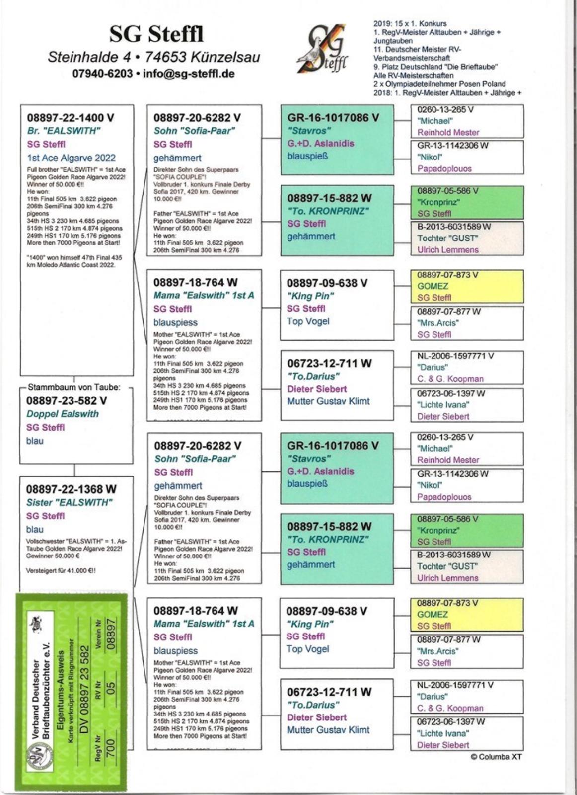 DV08897-23-582 ERKEK / SUPER INBREED ALGARVE AS 1 - EALSWITH