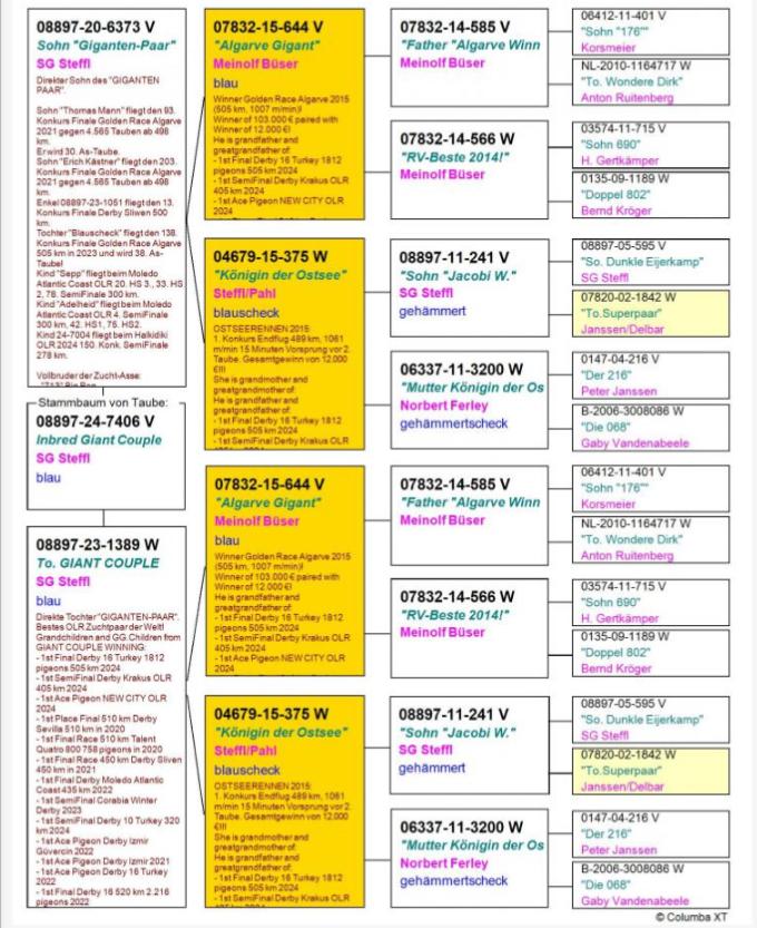 DV08897-24-7406 ERKEK / INBREED GIANT PAIR