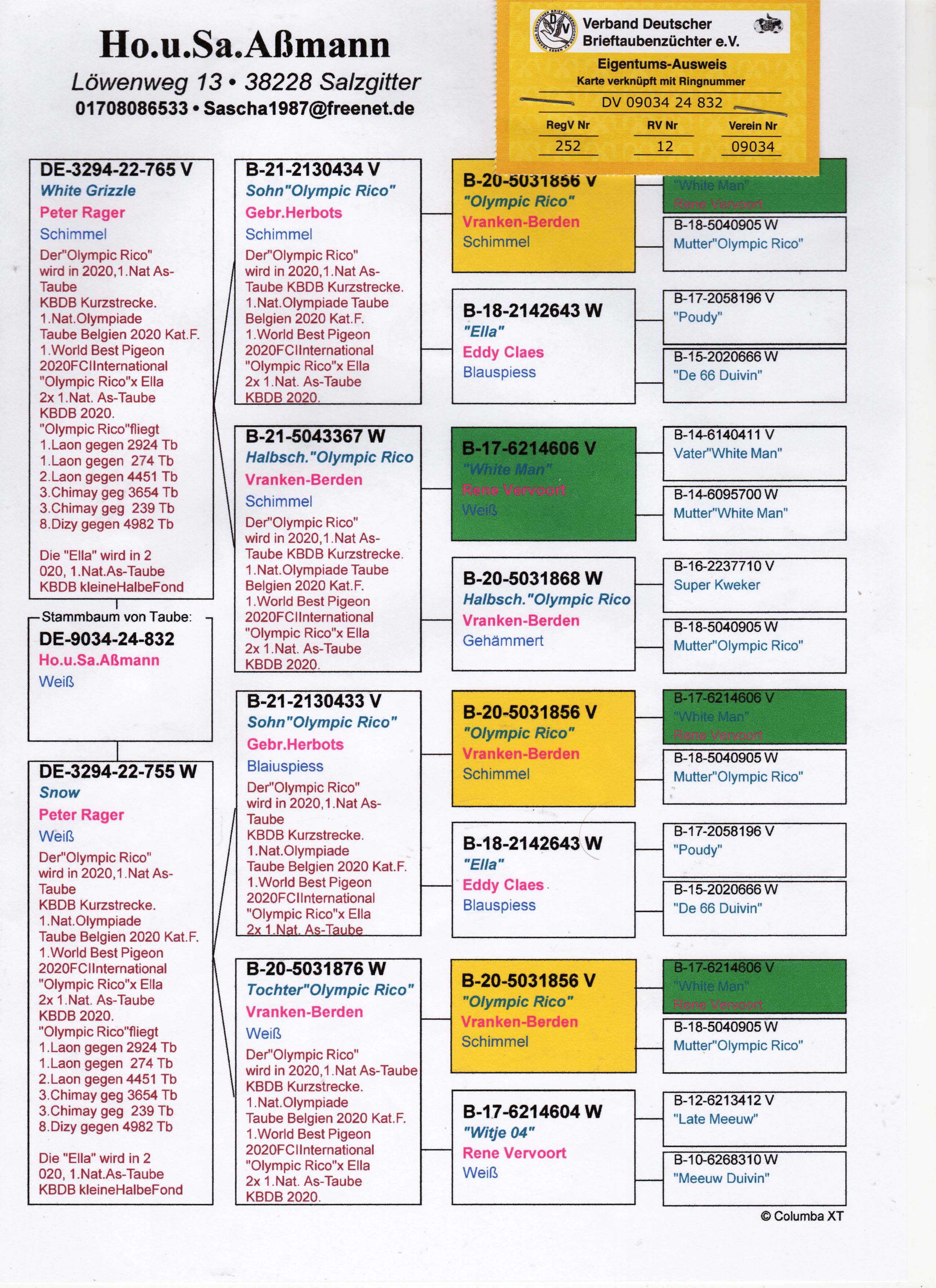 DV09034-24-832 DİŞİ / INBREED RICO 