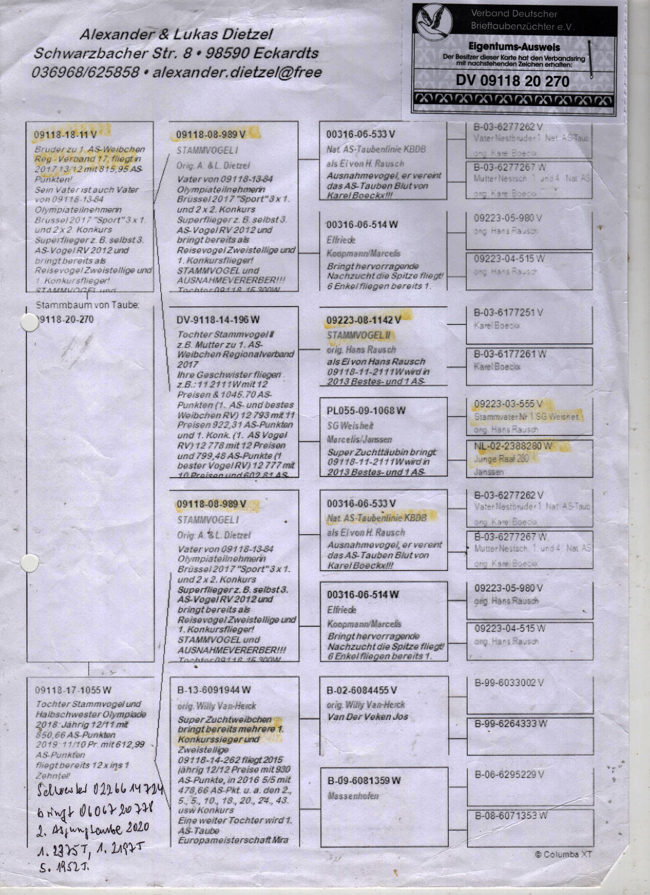 DV09118-20-270 ERKEK / BABASININ KARDEŞİ 1 AS WEIBCHEN REG 