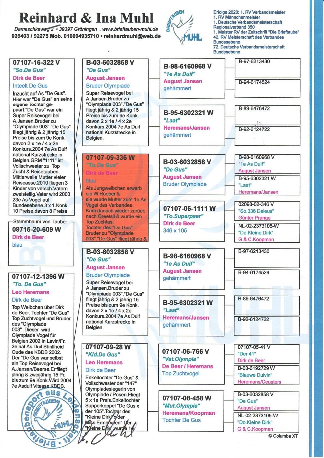 DV09715-20-609 DİŞİ / INBREED DE GUS 