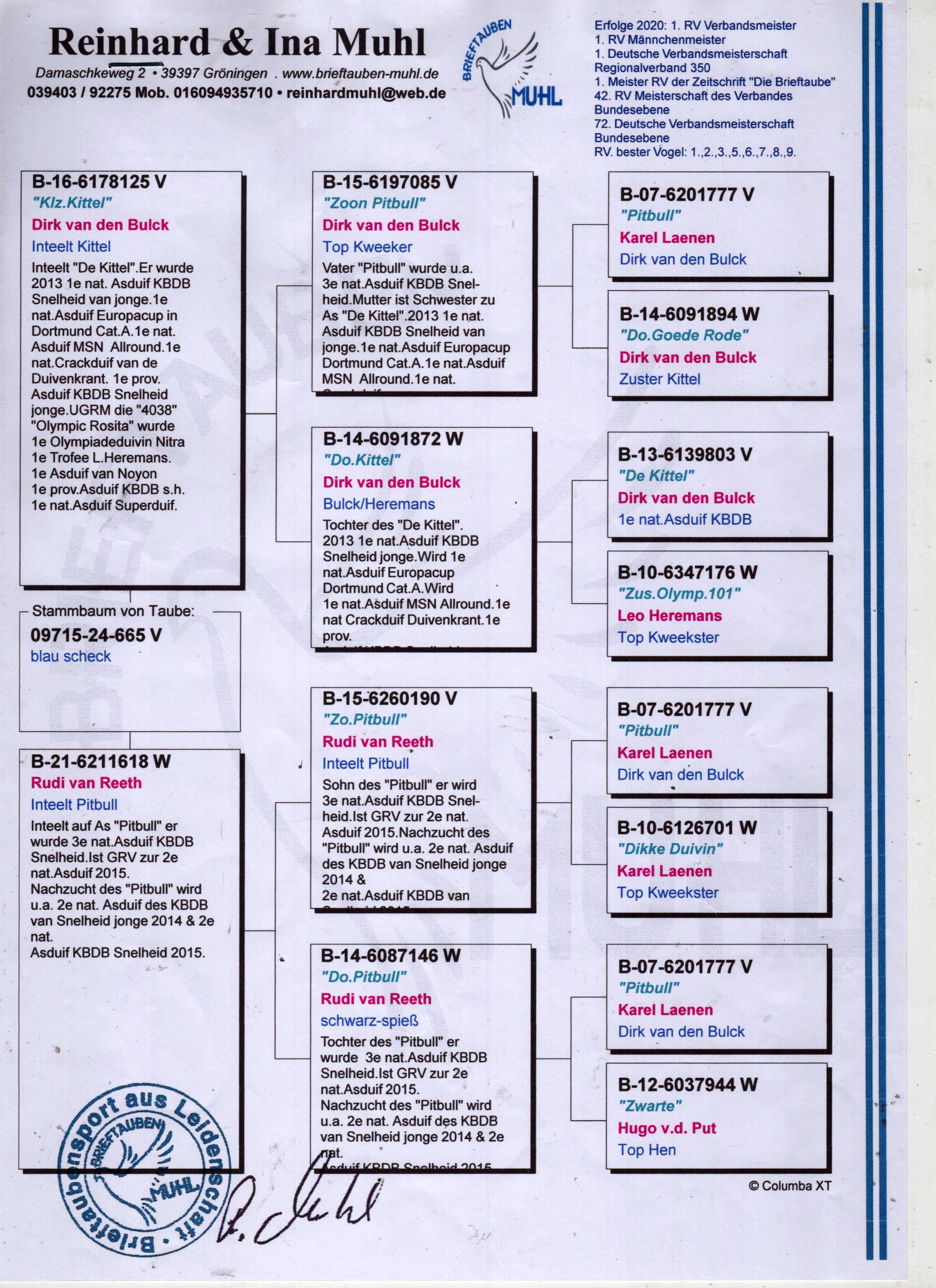 DV09715-24-665 ERKEK INBREED PITBULL