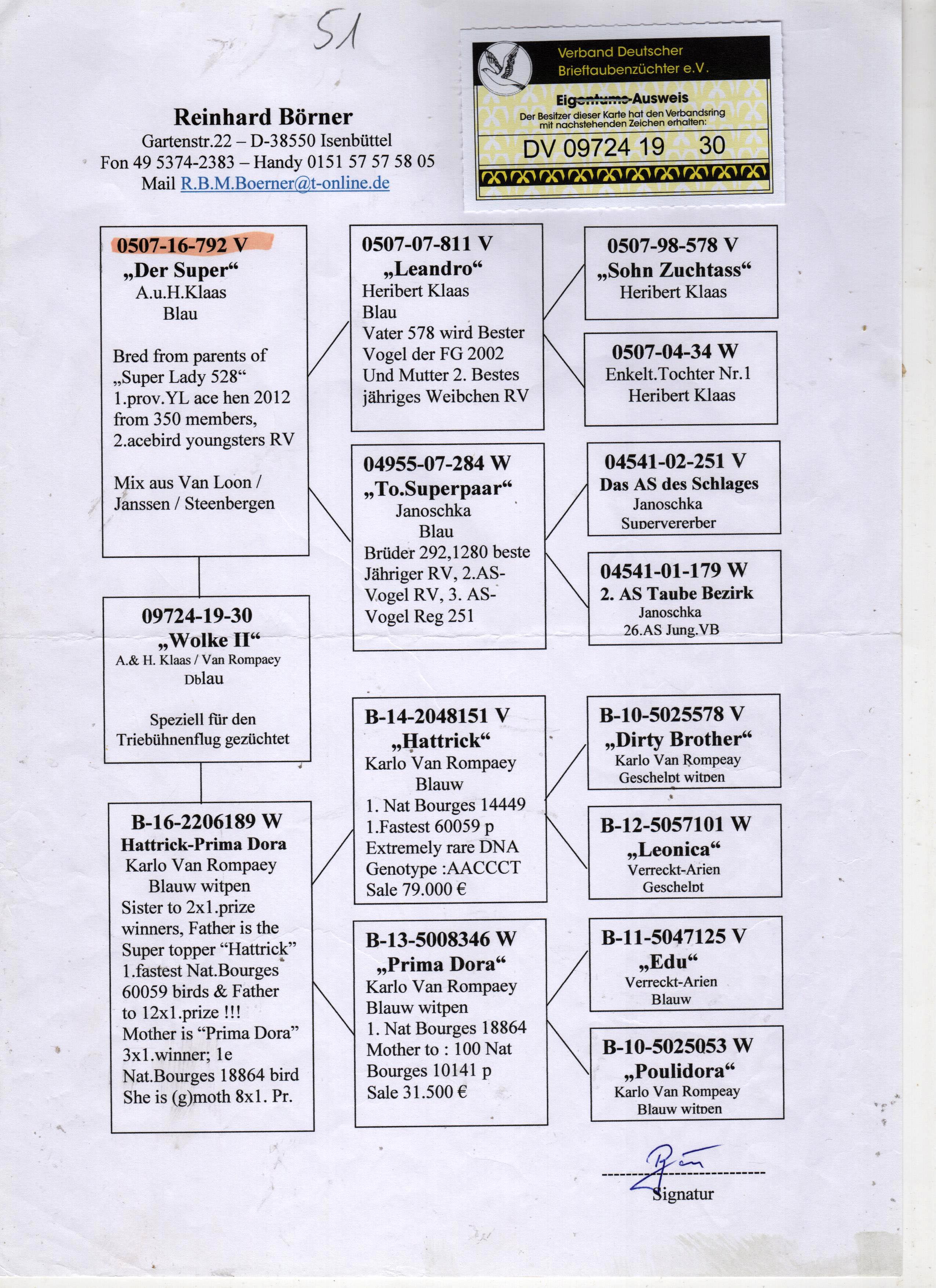 DV09724-19-30 DİŞİ / BABASI ALFON KLAAS 