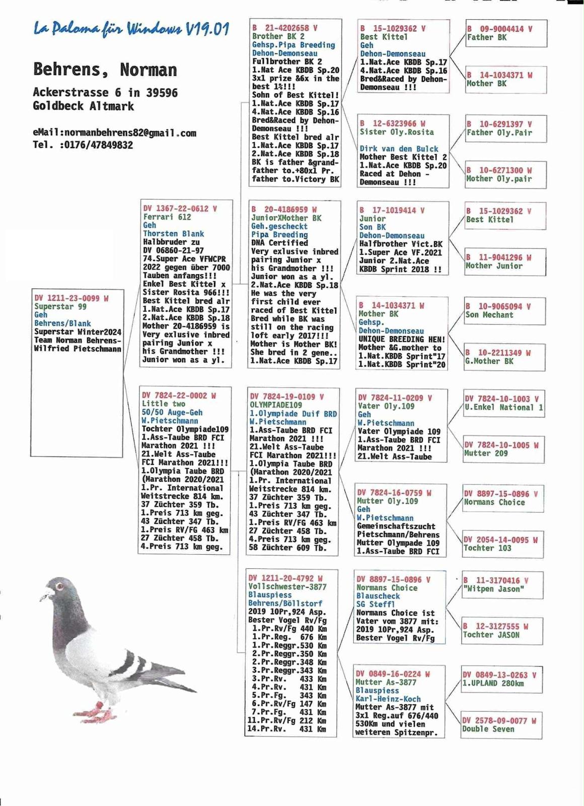 DV1211-23-99 ERKEK / KENDİSİ YARIMISTIR BABASI THORSTEN BLACK