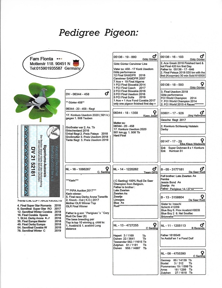 DV21-52181 DİŞİ / ANNESİ 5. FİNAL DERBY ARONA -  2. AS ARONA 2017