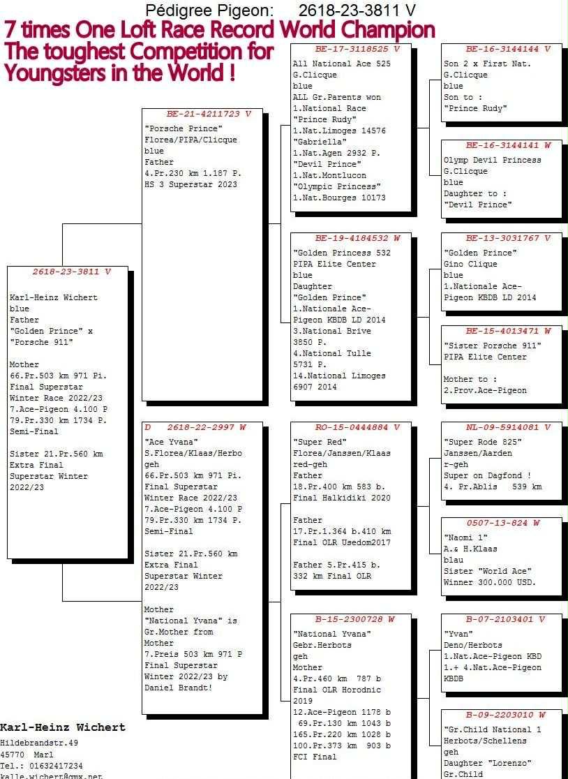 DV2618-23-3811 ERKEK / KARL HEINZ WICHTER