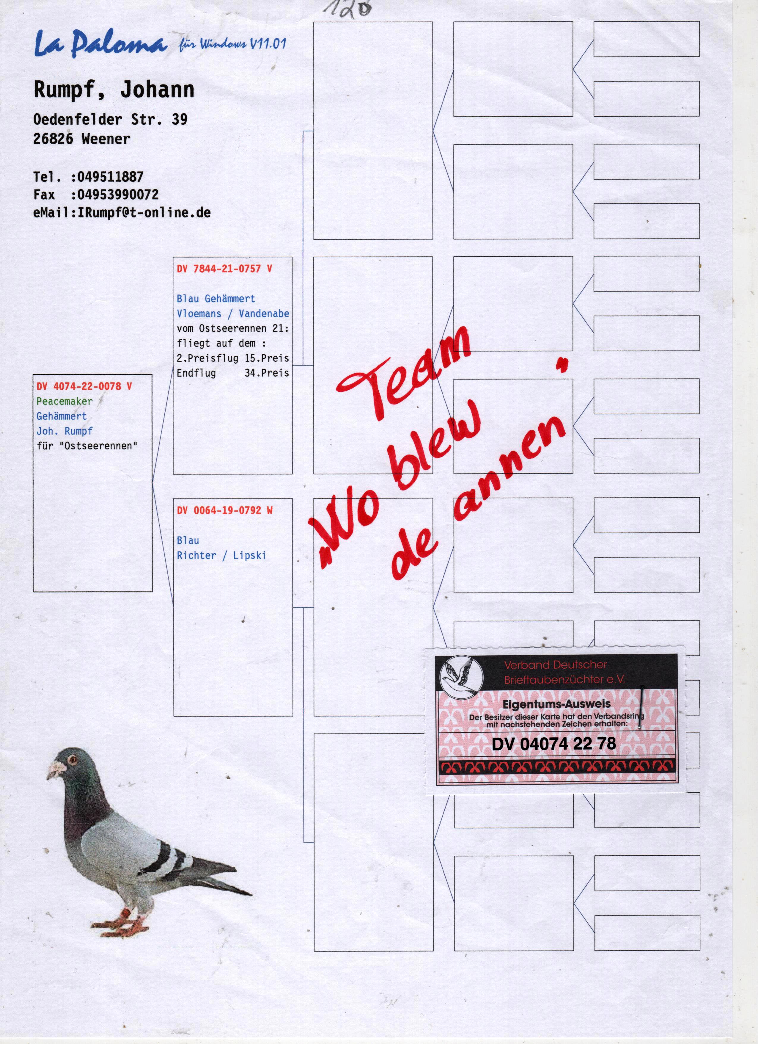 DV4074-22-0078 DİŞİ / GABY VANDENABEELE - LİPSKİ