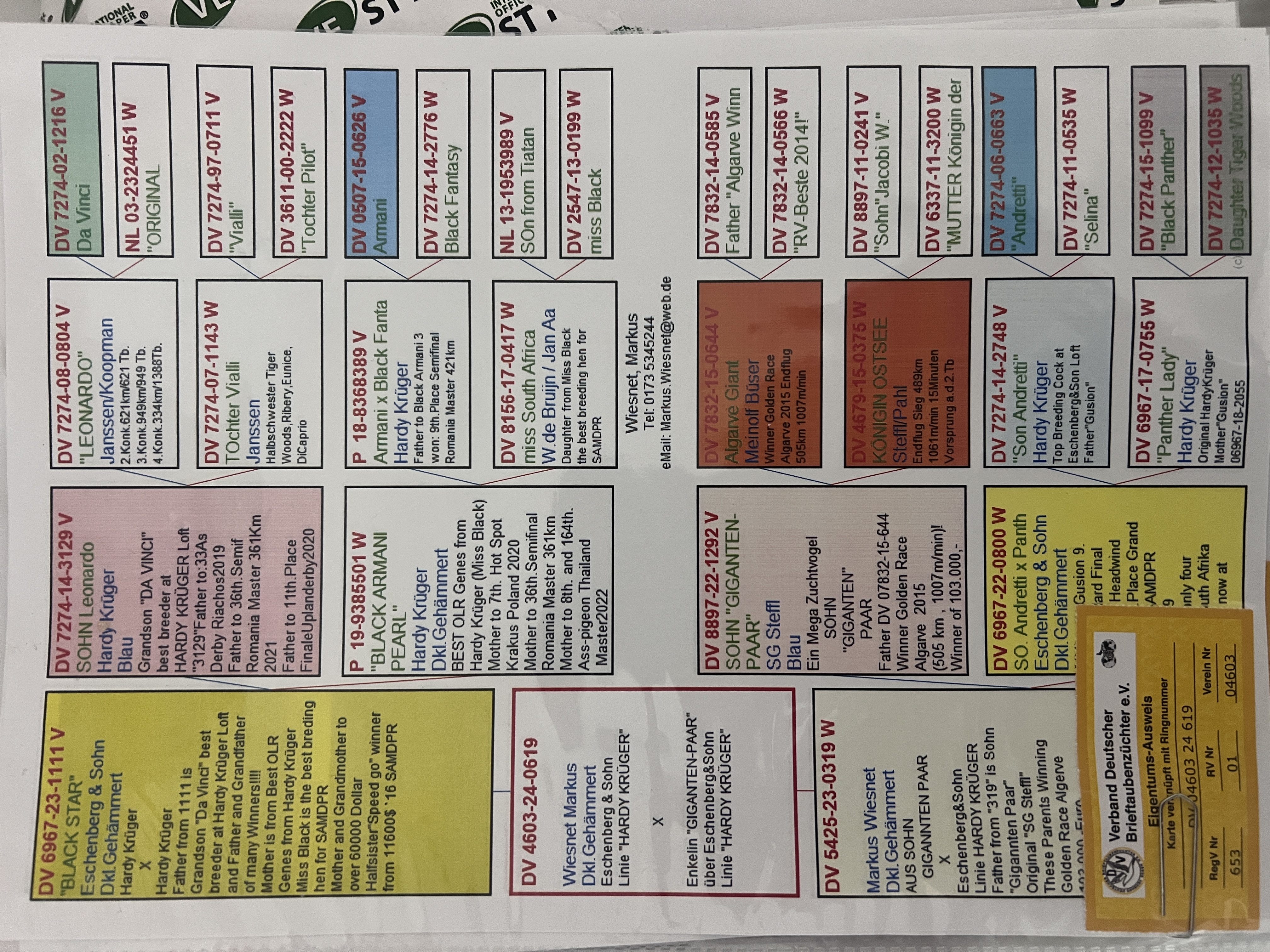 DV4603-24-0619 ERKEK / HARDY KRUGER % 75