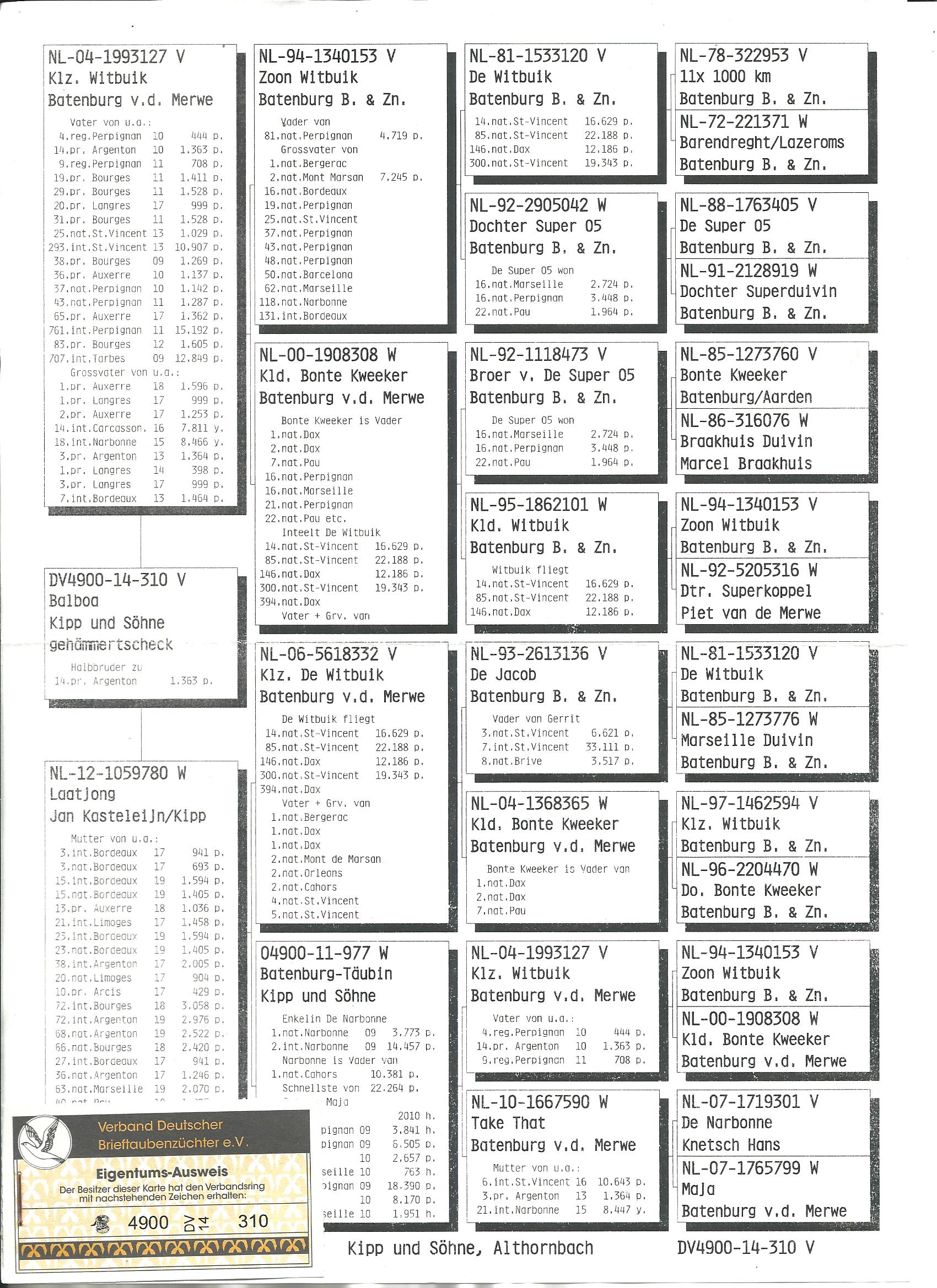 DV4900-14-310 EREK / KİPP UND SOHNE - BATENBURG MERWE % 100