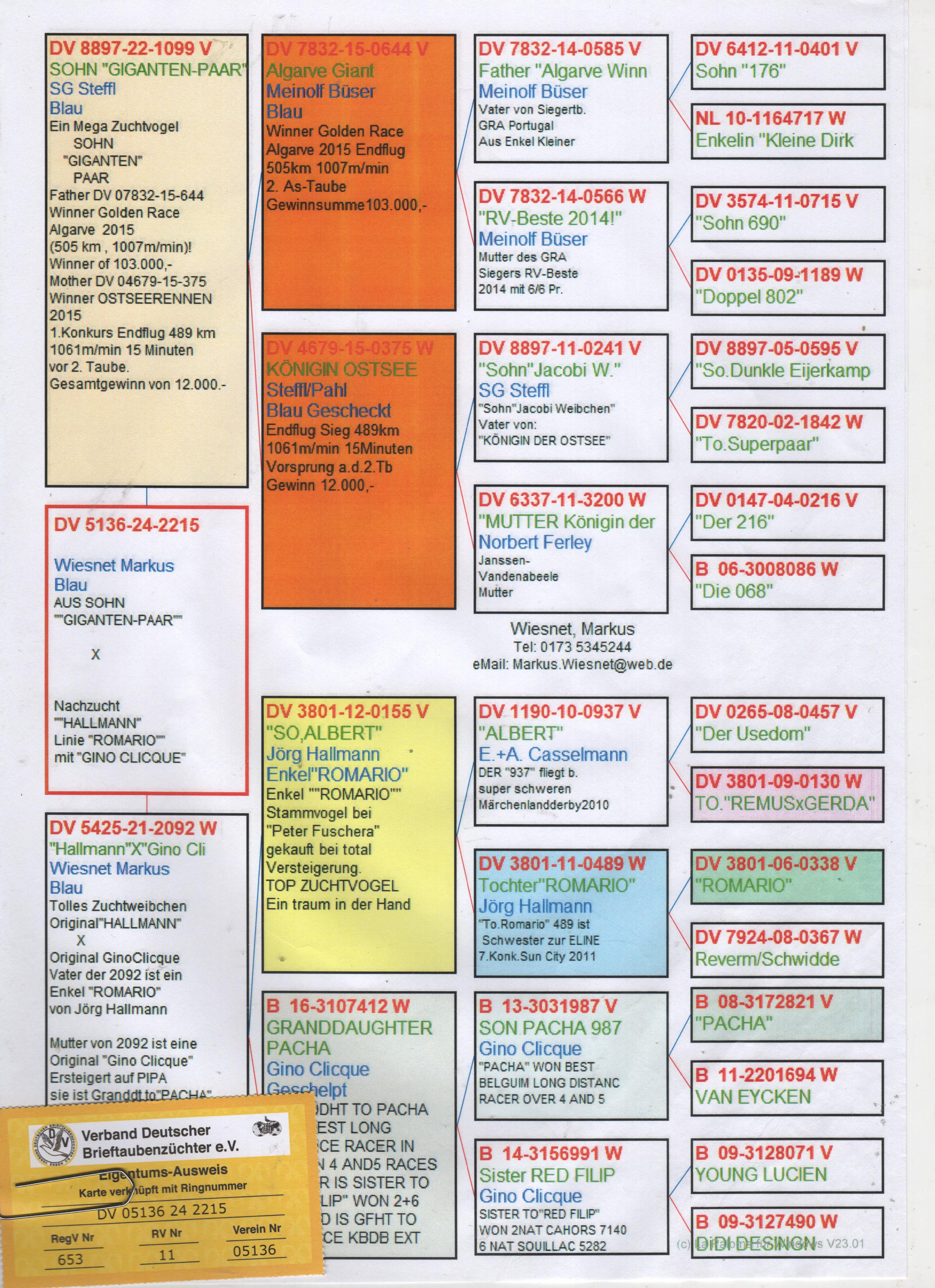 DV5136-24-2215 DİŞİ / GİANT PAIR TORUNU