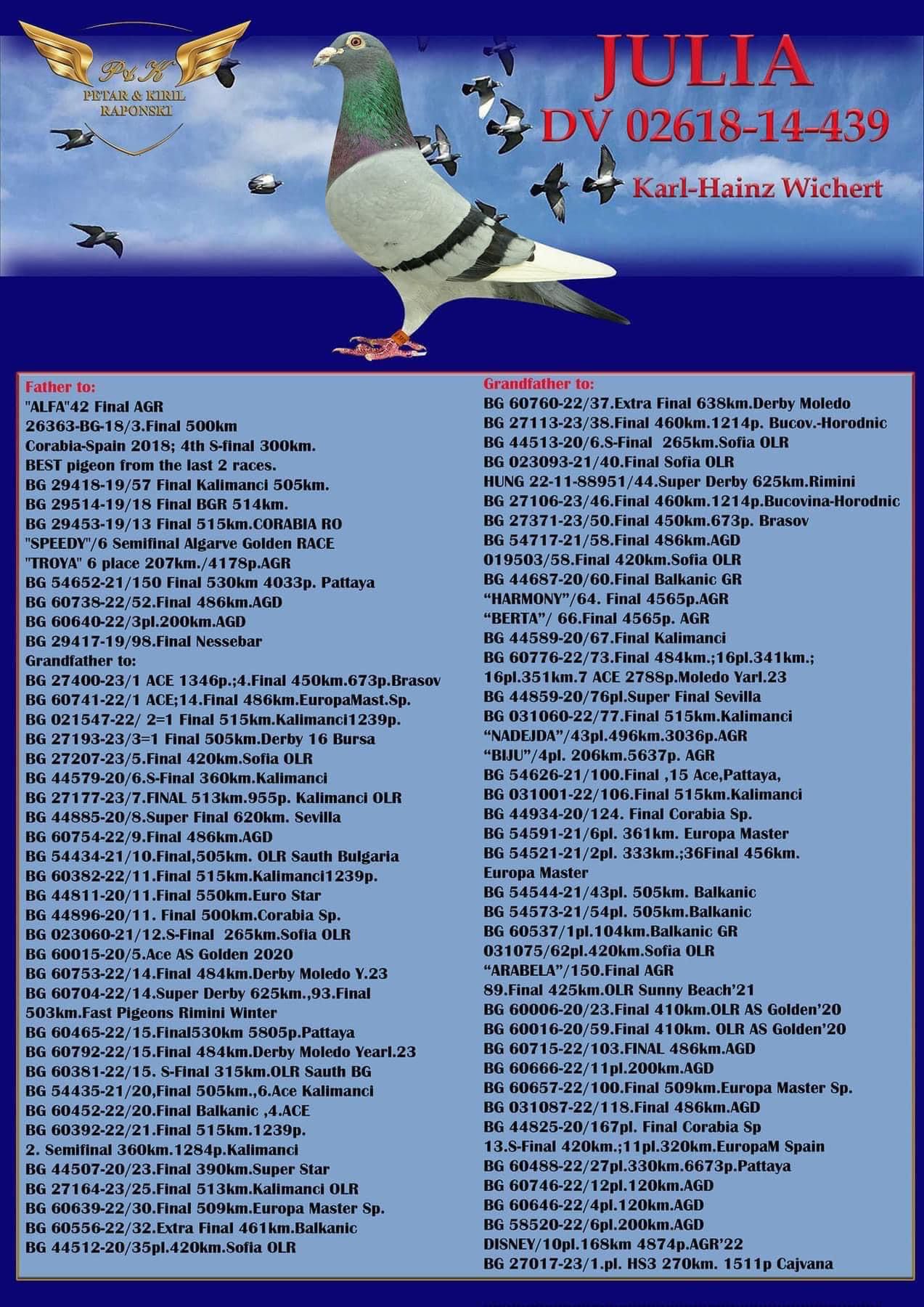 DV5412-24-0302 / BABASI 52 EXTRA FİNAL 560 KM ANNESİ ROMARIO - JULIA