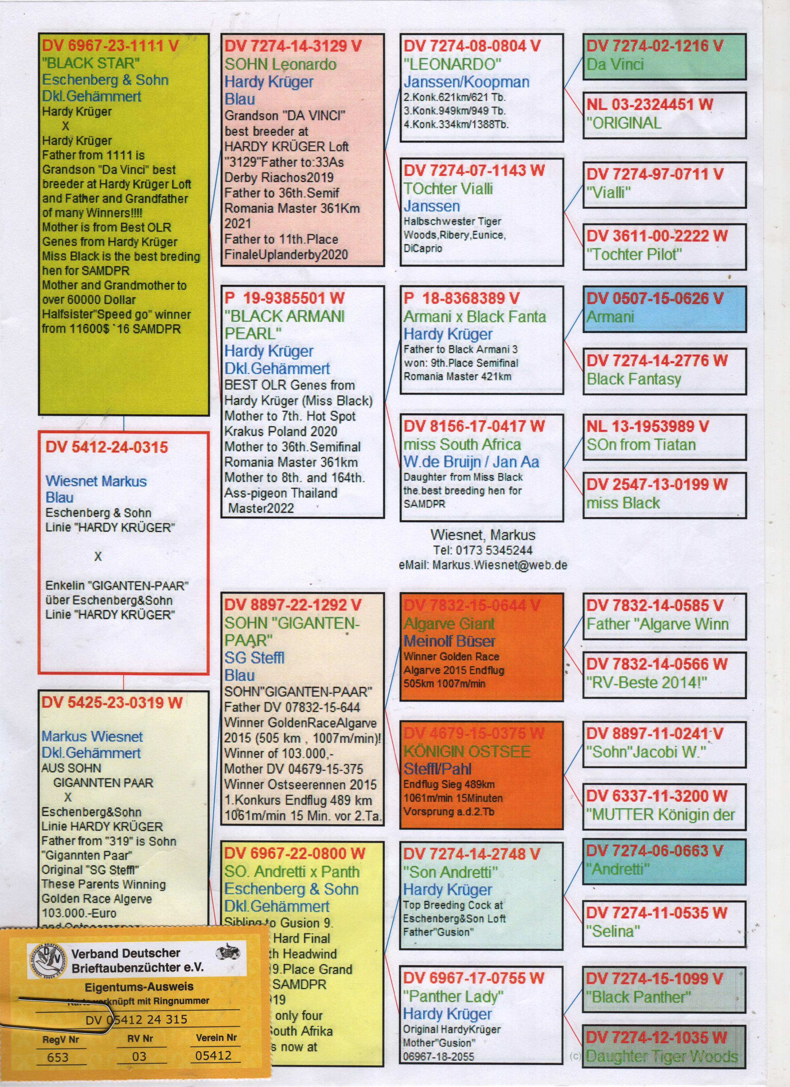 DV5425-24-0315 ERKEK / HARDY KRUGER % 75