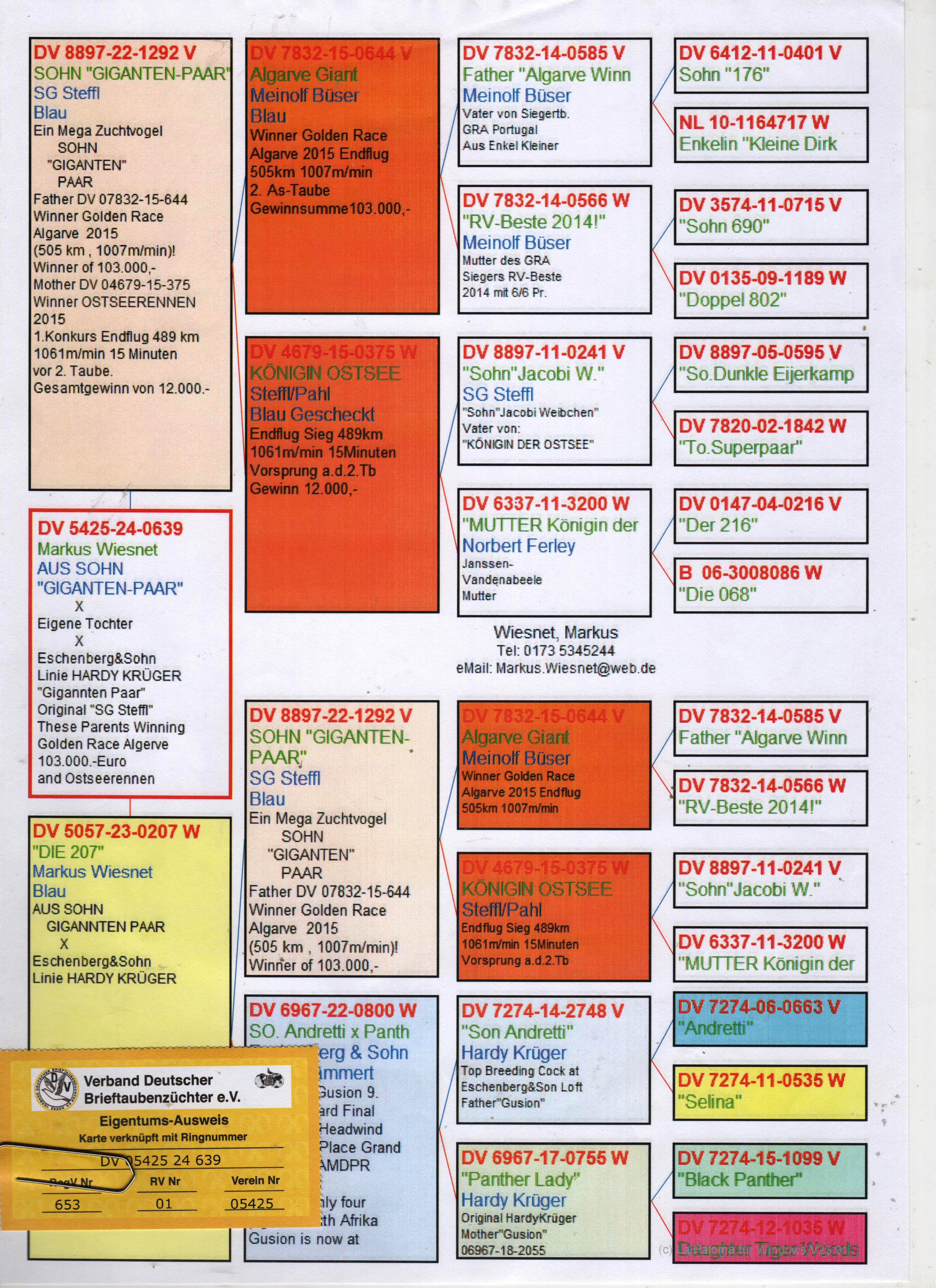 DV5425-24-0639 ERKEK / INBREED GIANT PAIR