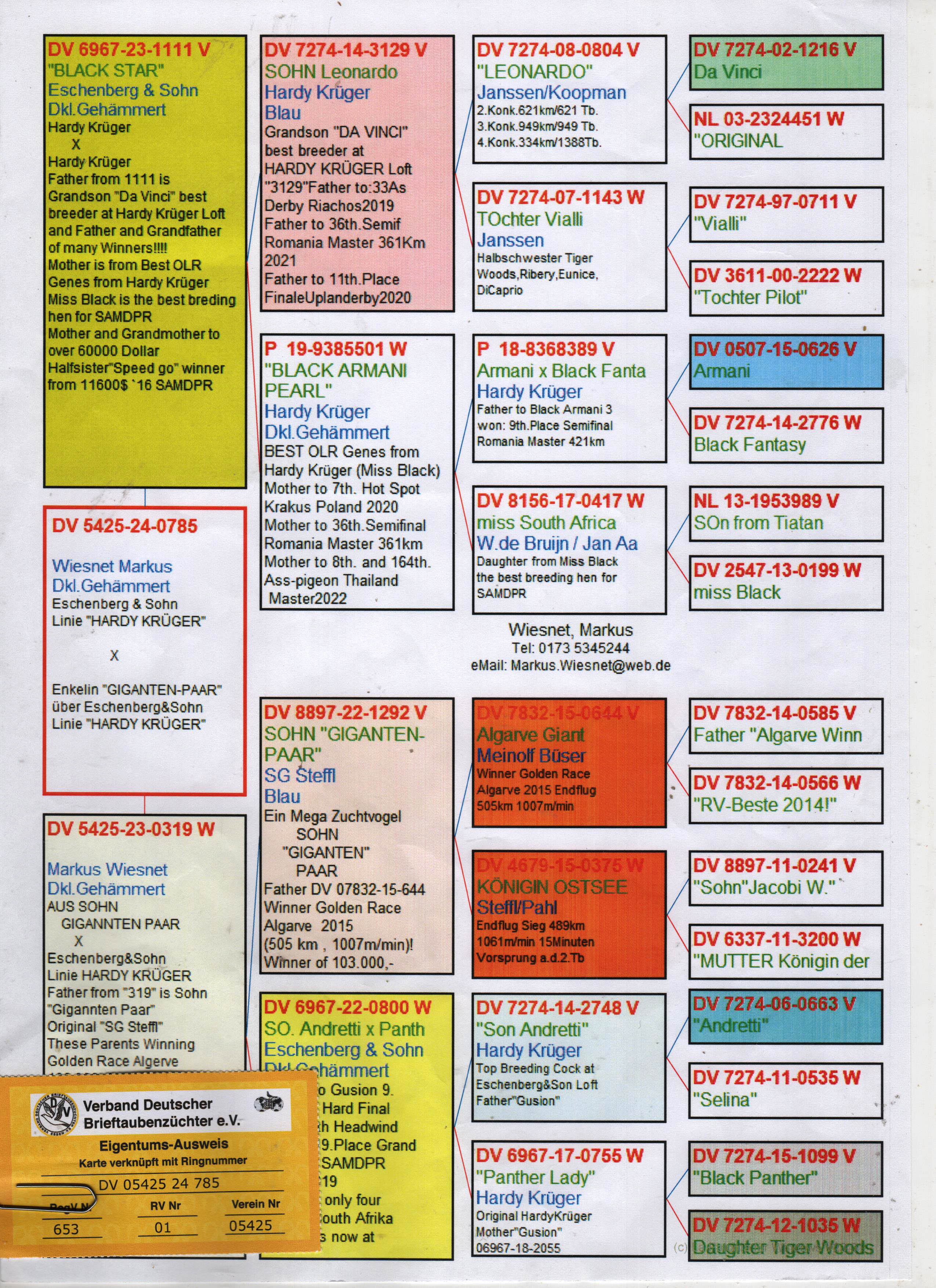 DV5425-24-0785 ERKEK / HADRY KRUGER X GIANT PAIR 