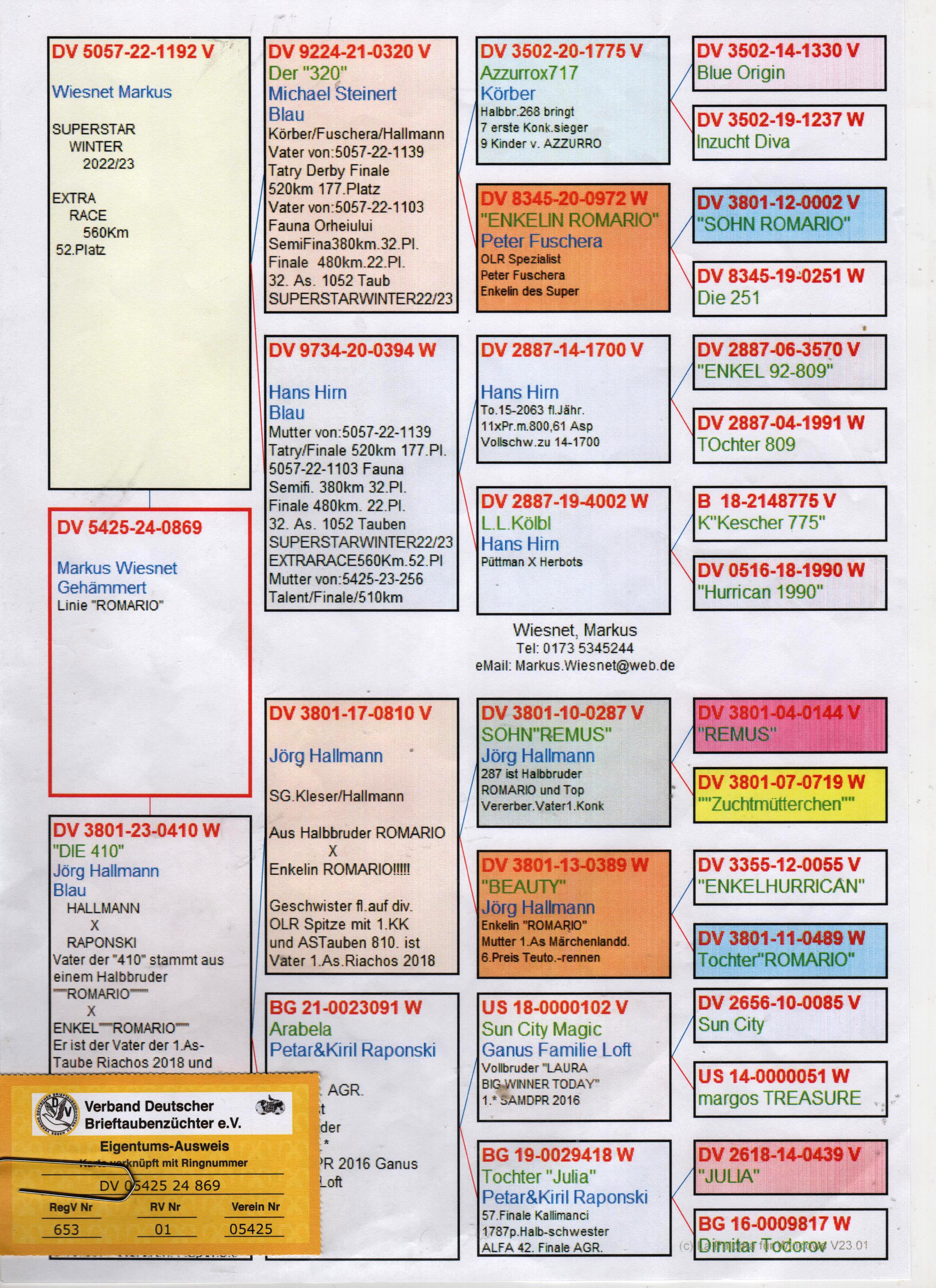 DV5425-24-0869 DİŞİ / ROMARIO - JULIA 