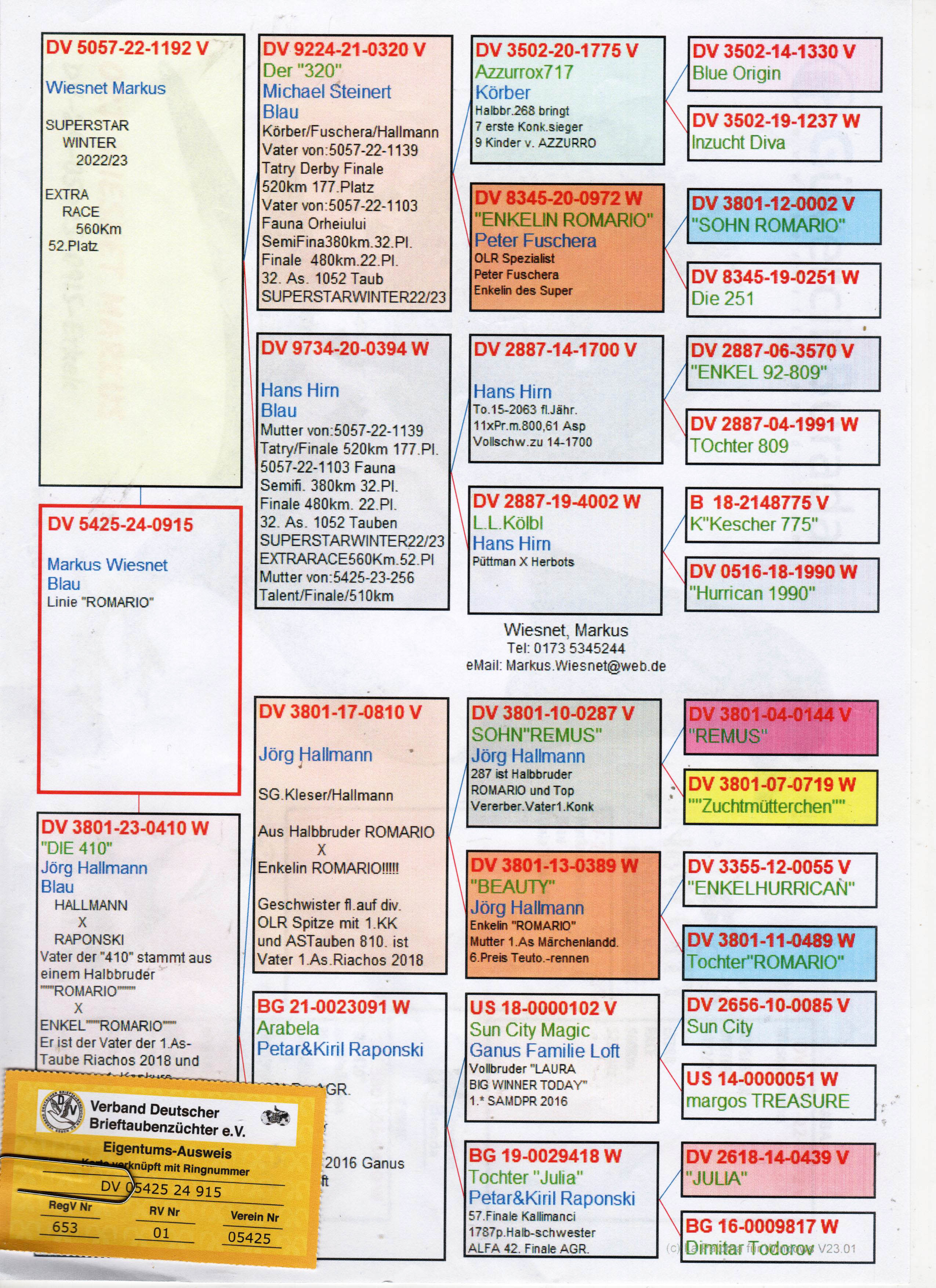DV5425-24-0915 DİŞİ  / ROMARIO X JULIA 