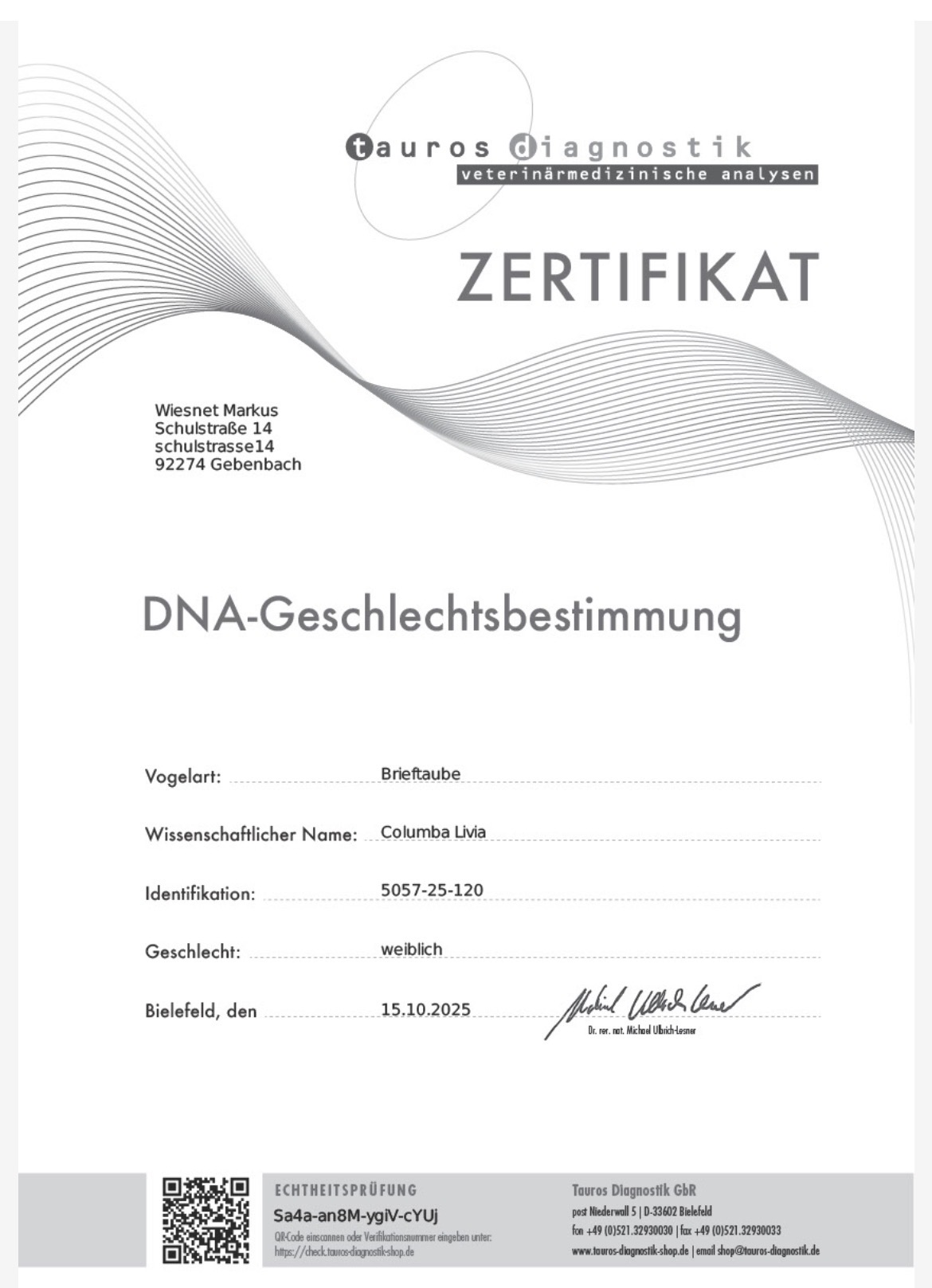 DV5425-24-908 DİŞİ / HARDY KRUGER % 75