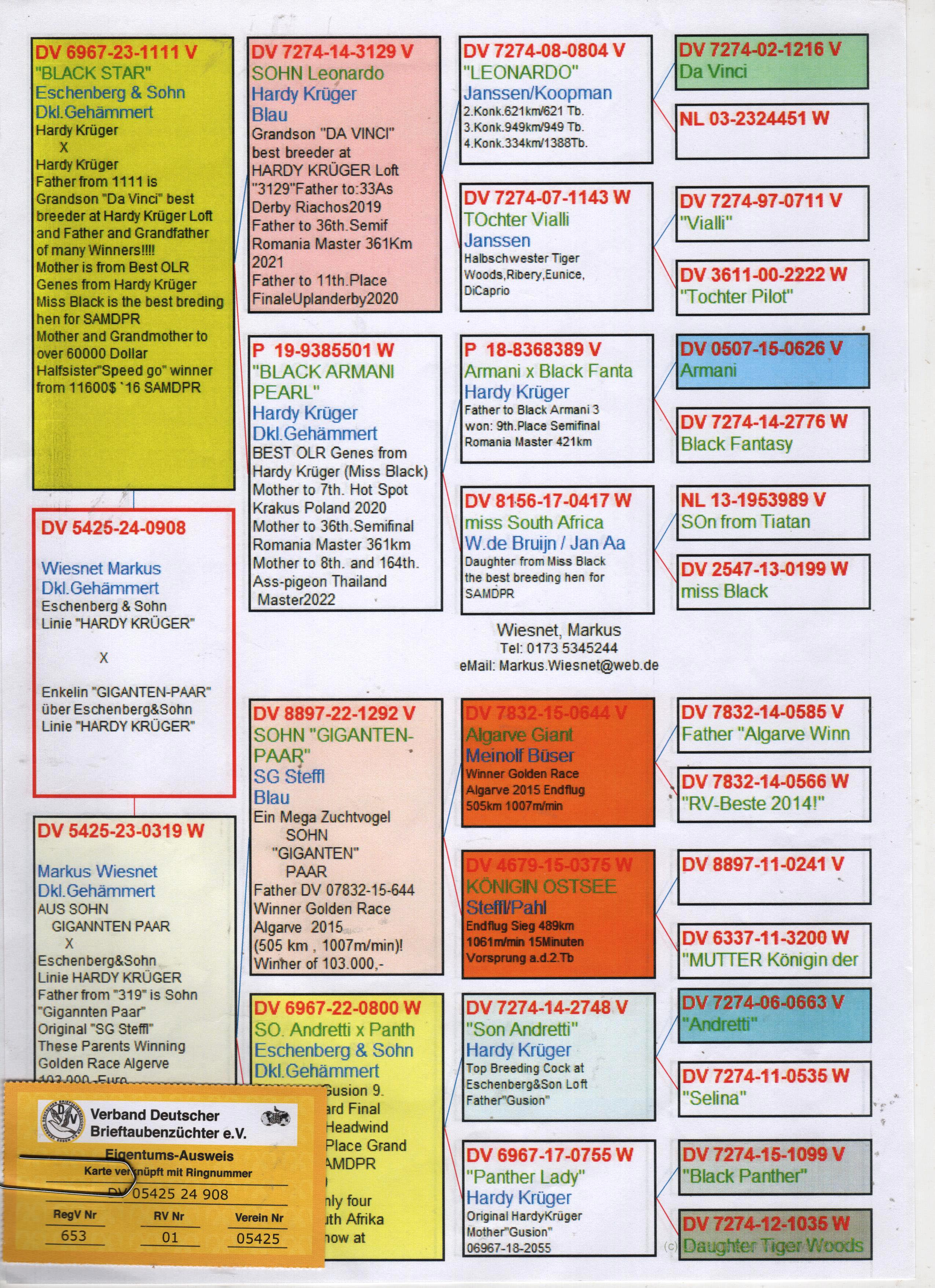 DV5425-24-908 ERKEK / HARDY KRUGER % 75