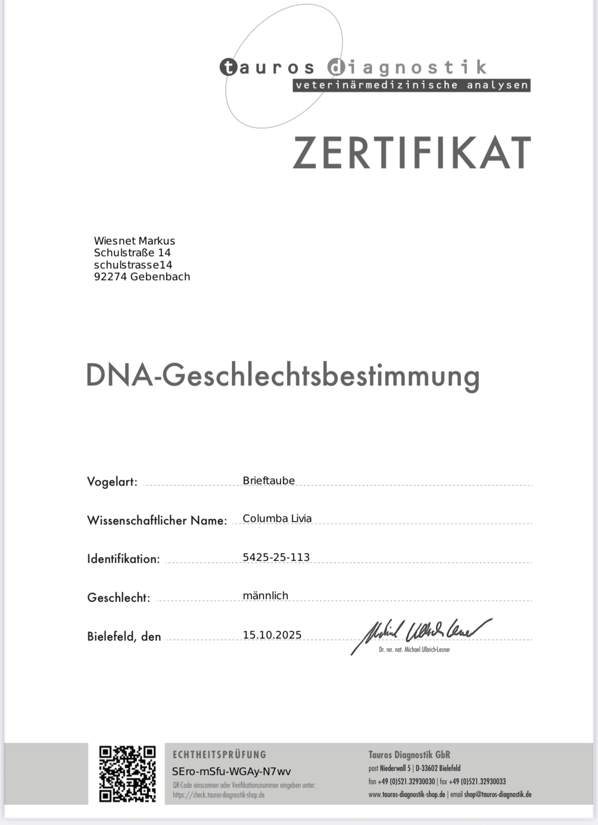 DV5425-25-0113 ERKEK / BABASI INBREED ROMARIO ANNESİ HURRICAN 51 & SUN CITY