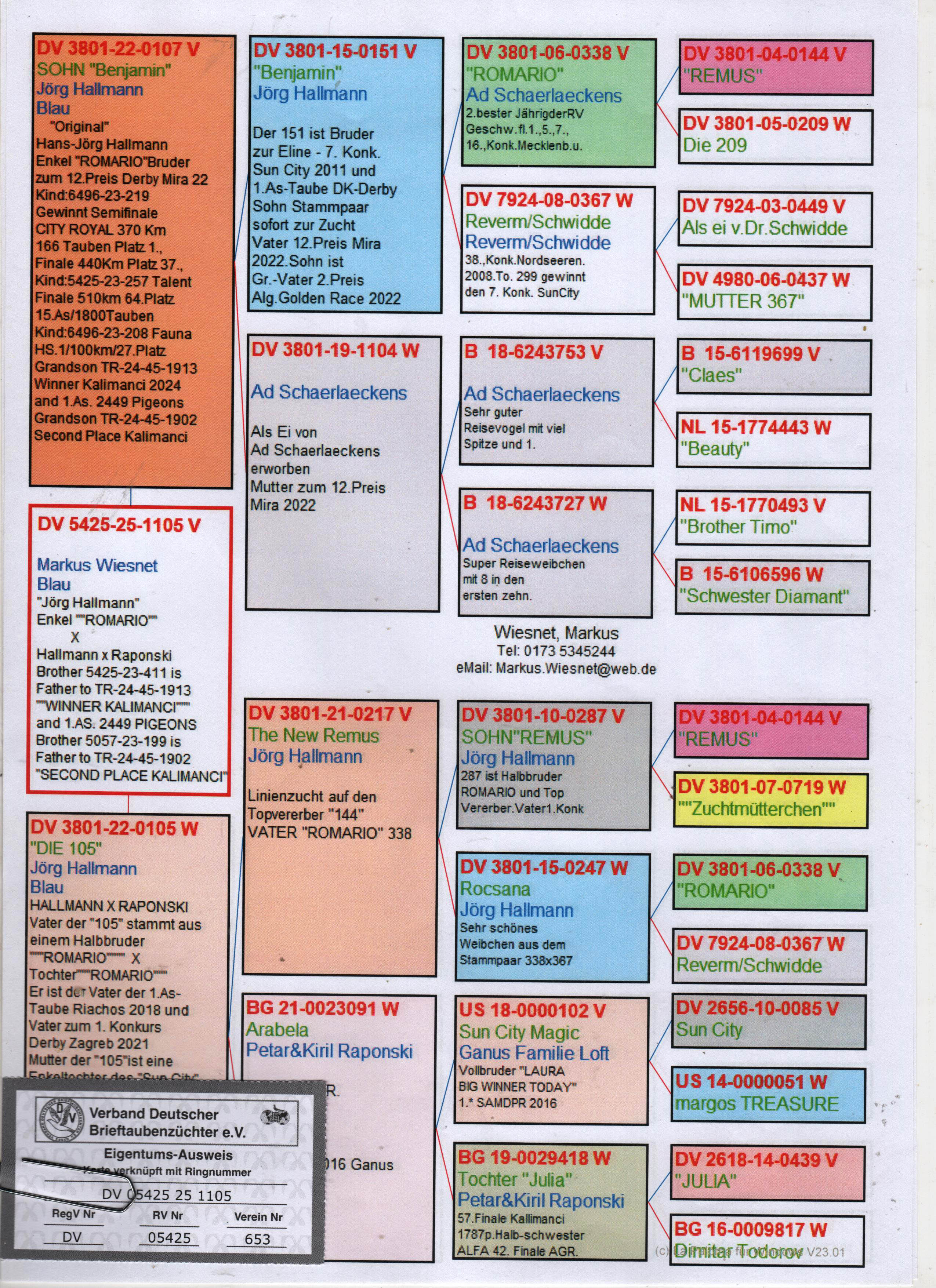 DV5425-25-1105 ERKEK / JORG HALLMANN % 100 - DNA SERTİFİKALI