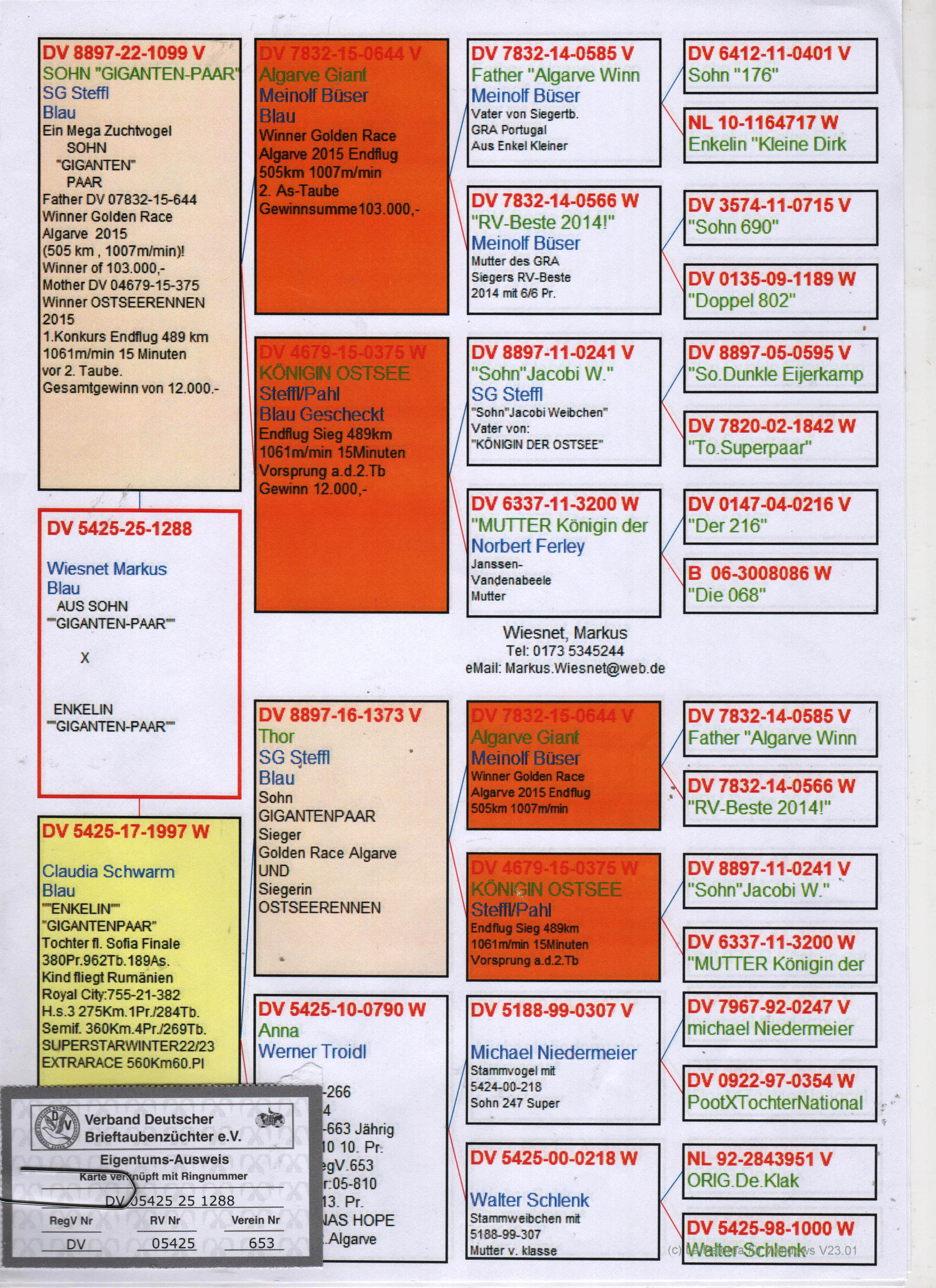 DV5425-25-1288 / INBREED GIAT PAIR