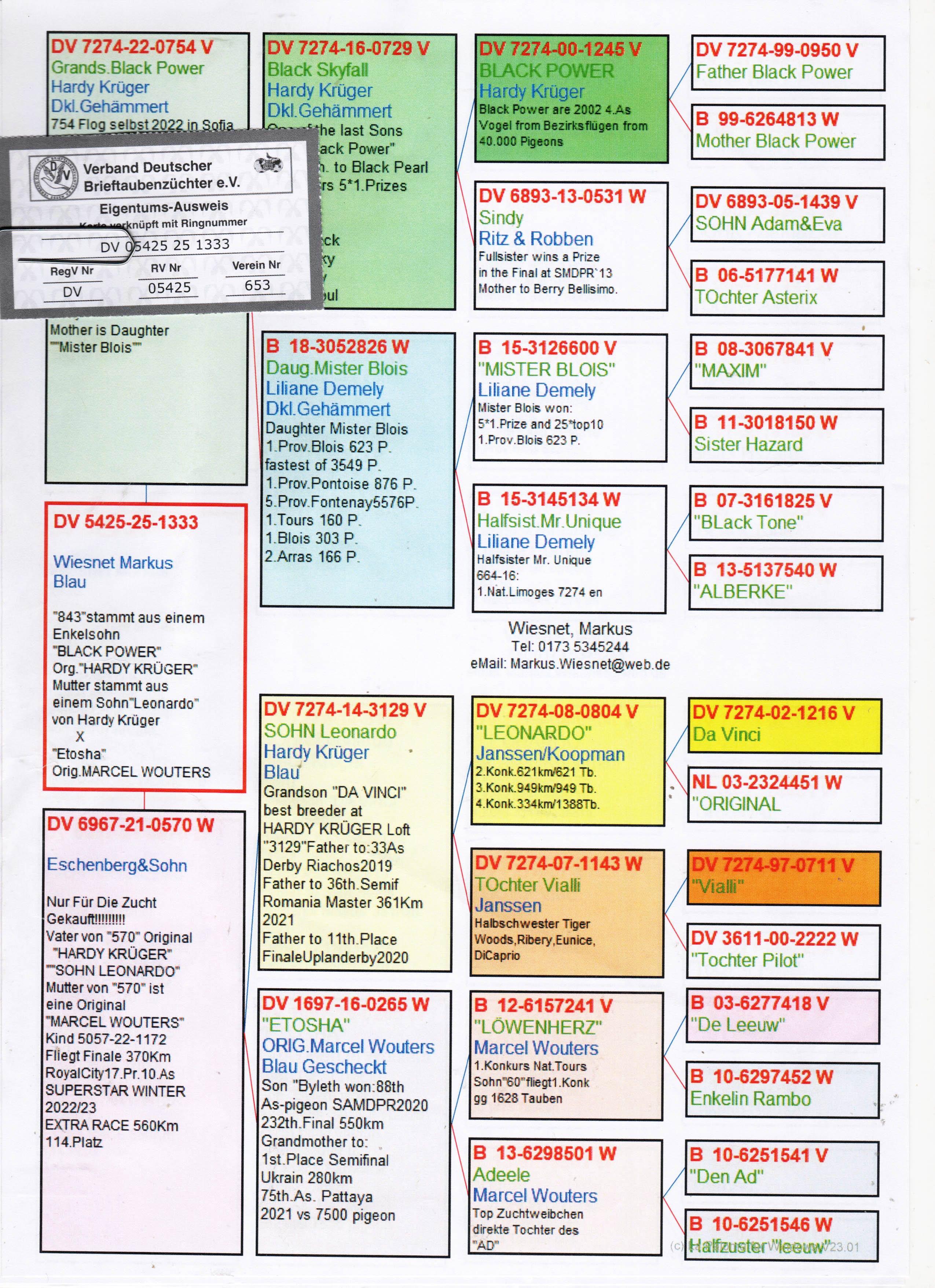 DV5425-25-1333 ERKEK / HARDY KRUGER % 75