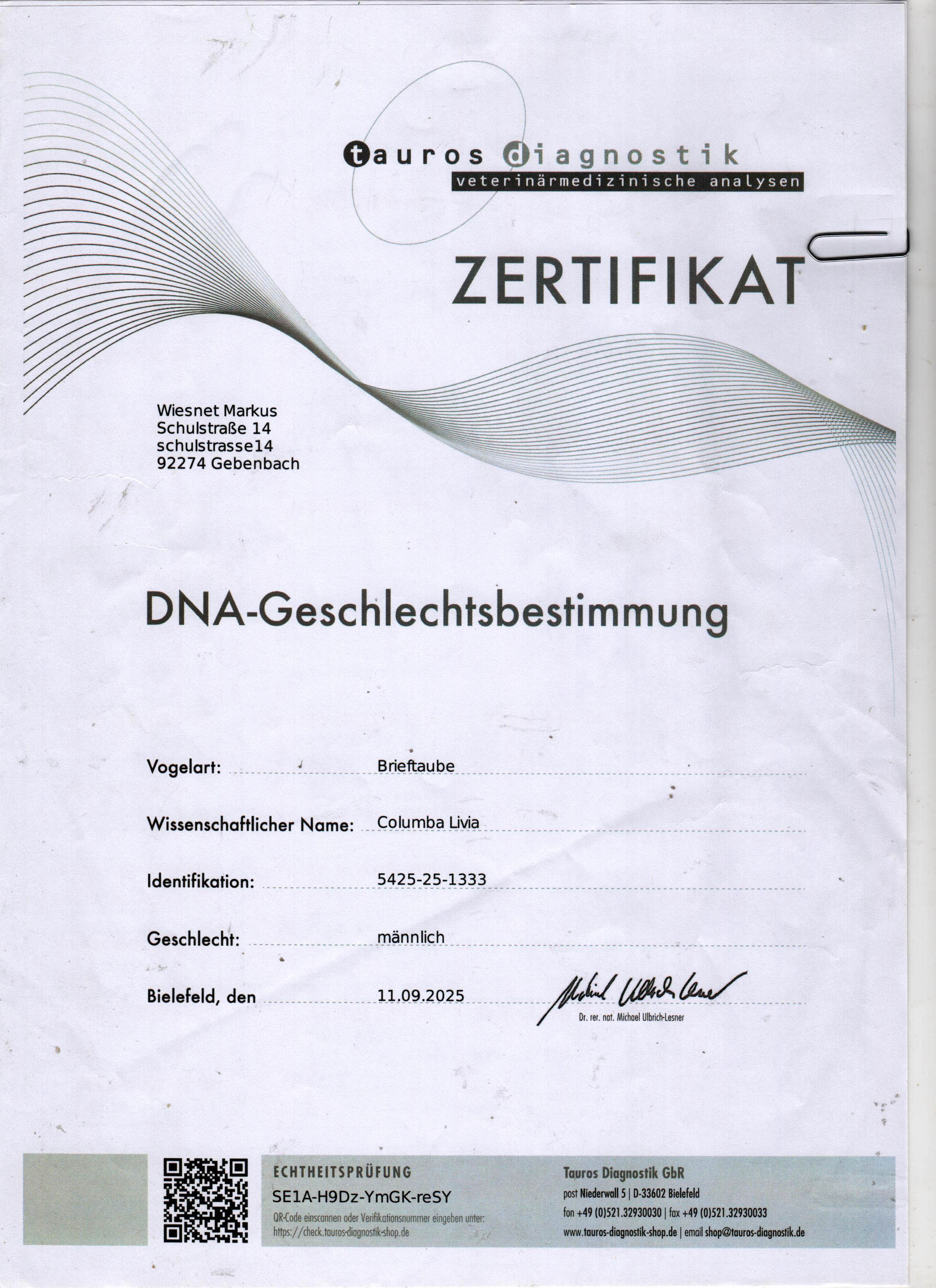 DV5425-25-1333 ERKEK / HARDY KRUGER % 75