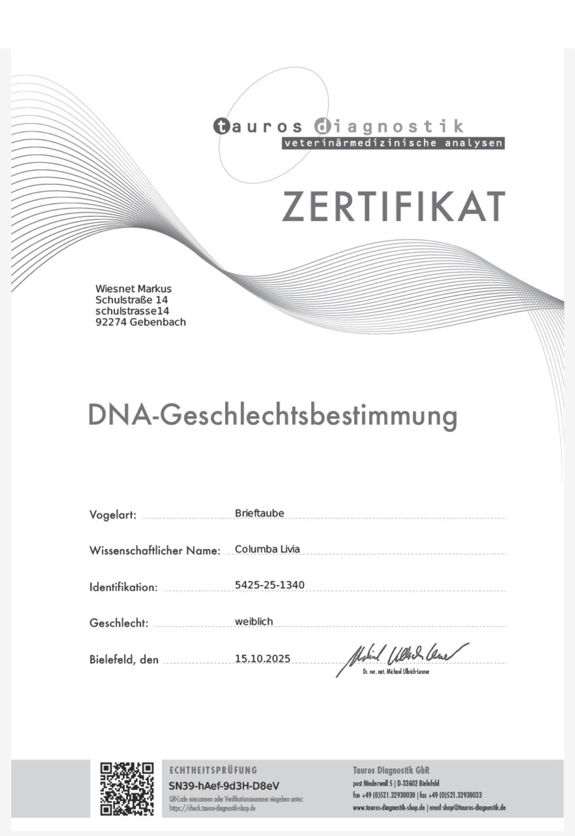 DV5425-25-1340 DİŞİ / BABASI INBREED GIANT PAIR ANNESI HALLMAN - GINO