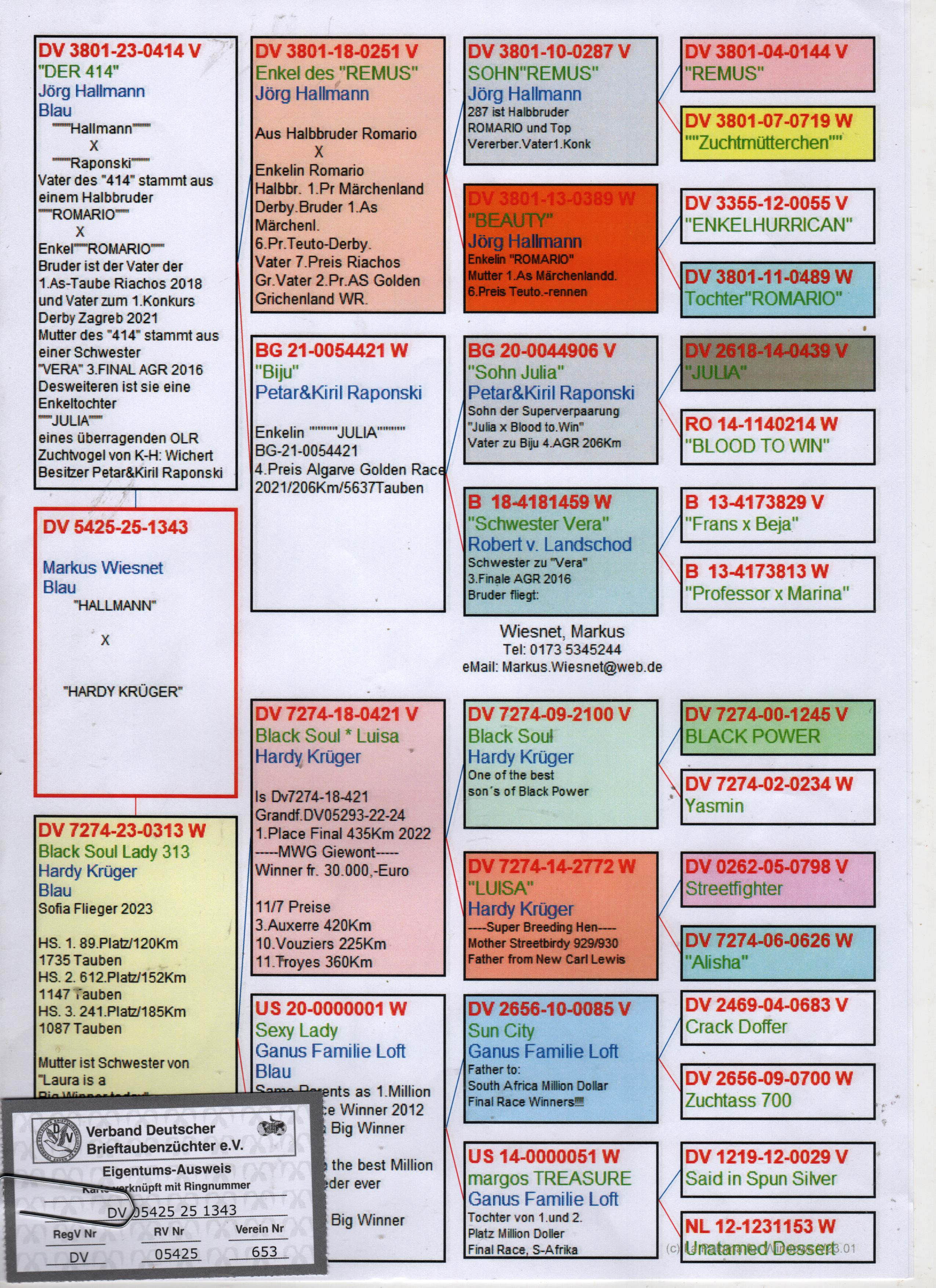 DV5425-25-1343 DİŞİ / HALLMANN - KRUGER -