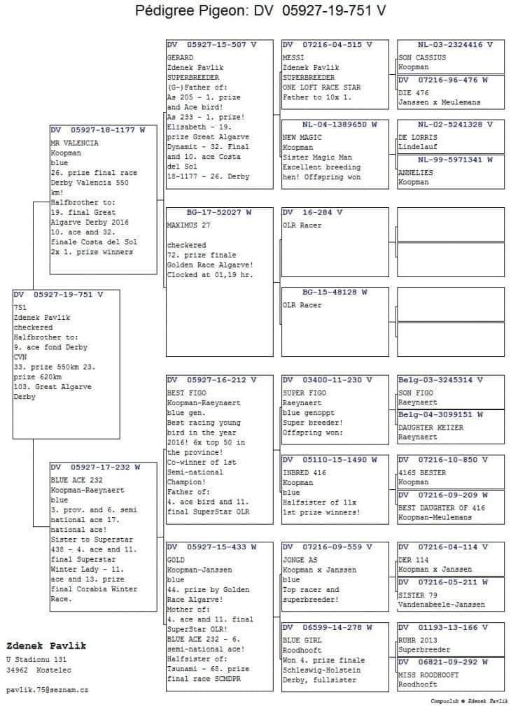 DV5927-19-751 ERKEK / ORİJİNAL ZDENEK PAVLİK - KARDEŞİ 29. FİNAL ALGARVE GOLDEN RACE 2019